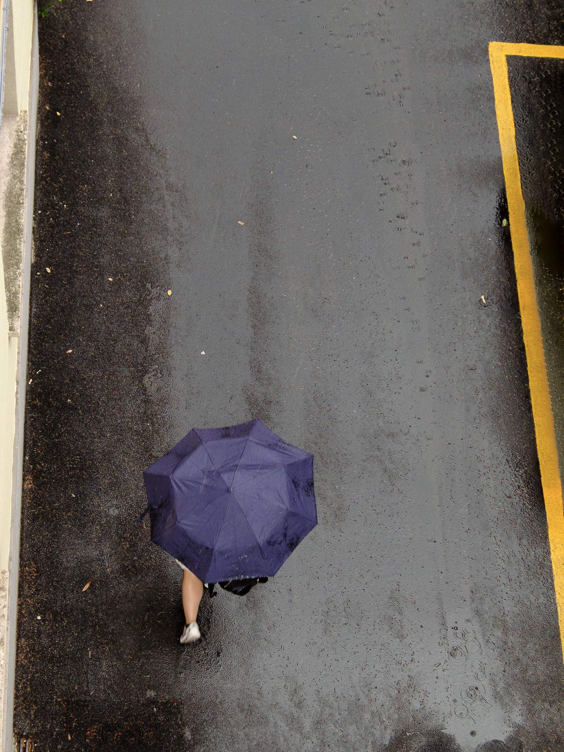 Untitled Photo