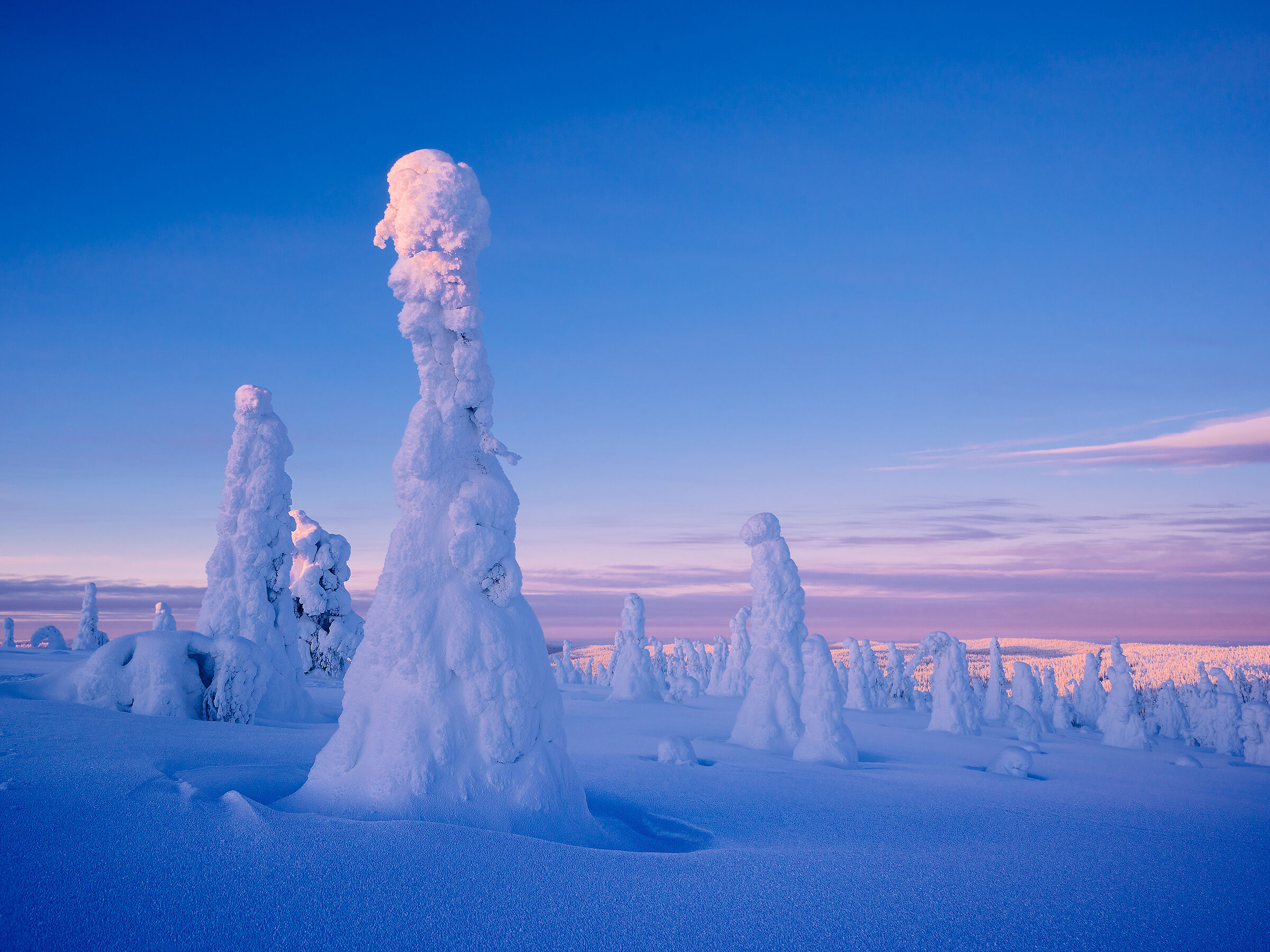 Sculture di neve e ghiaccio