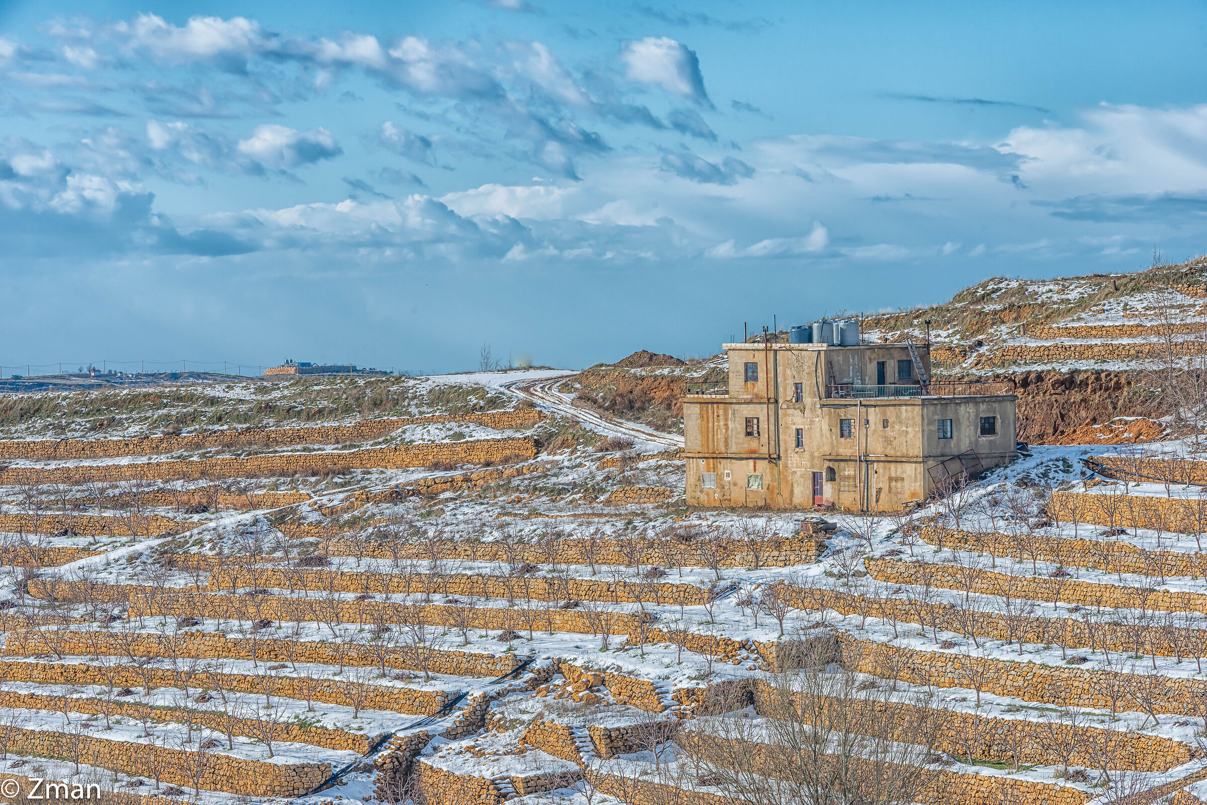From Last Winter