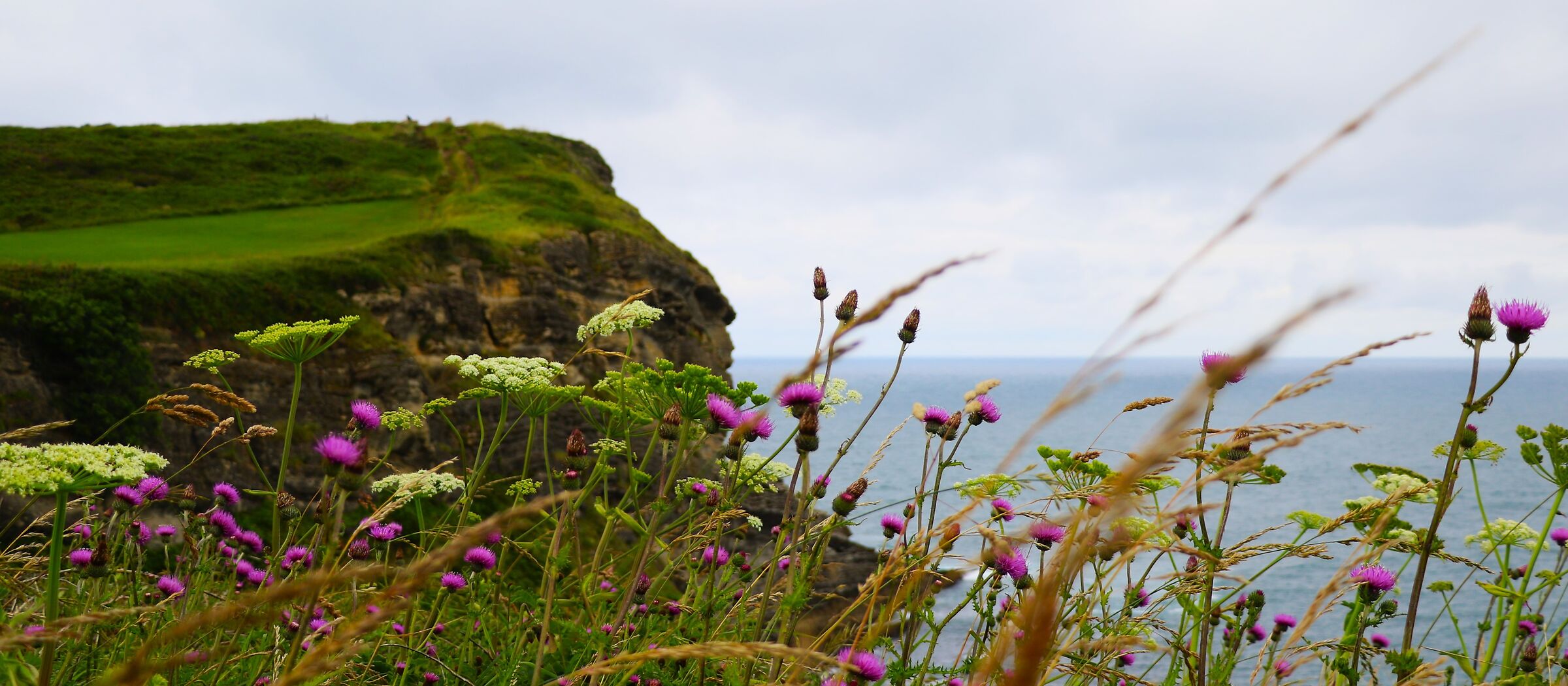 Green & Wind Basque Country