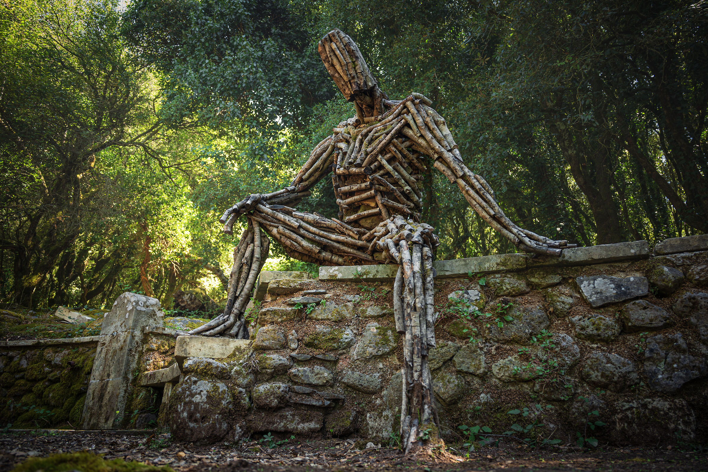 YHORM... The Guardian of the Forest