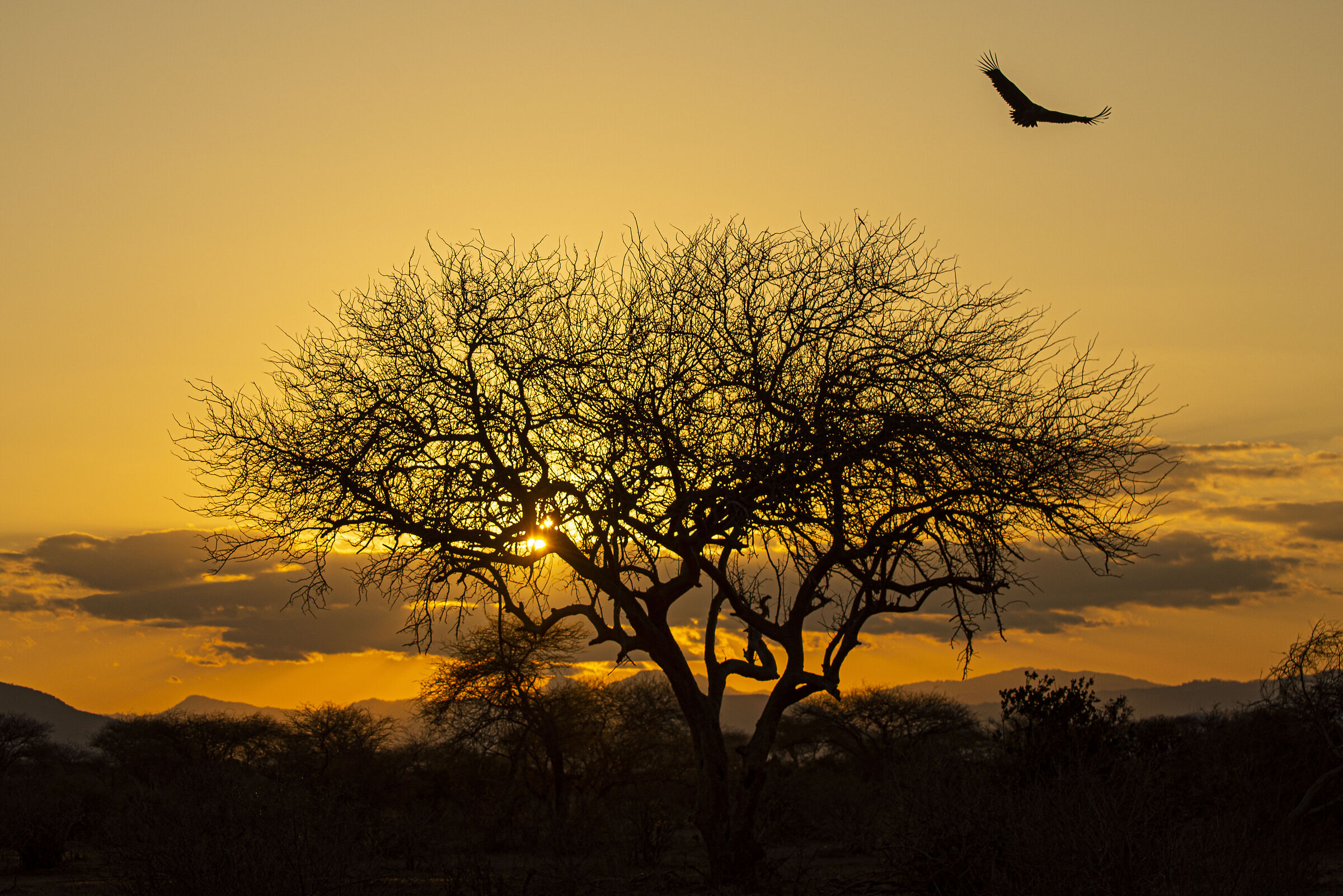 KENYA SUNSET