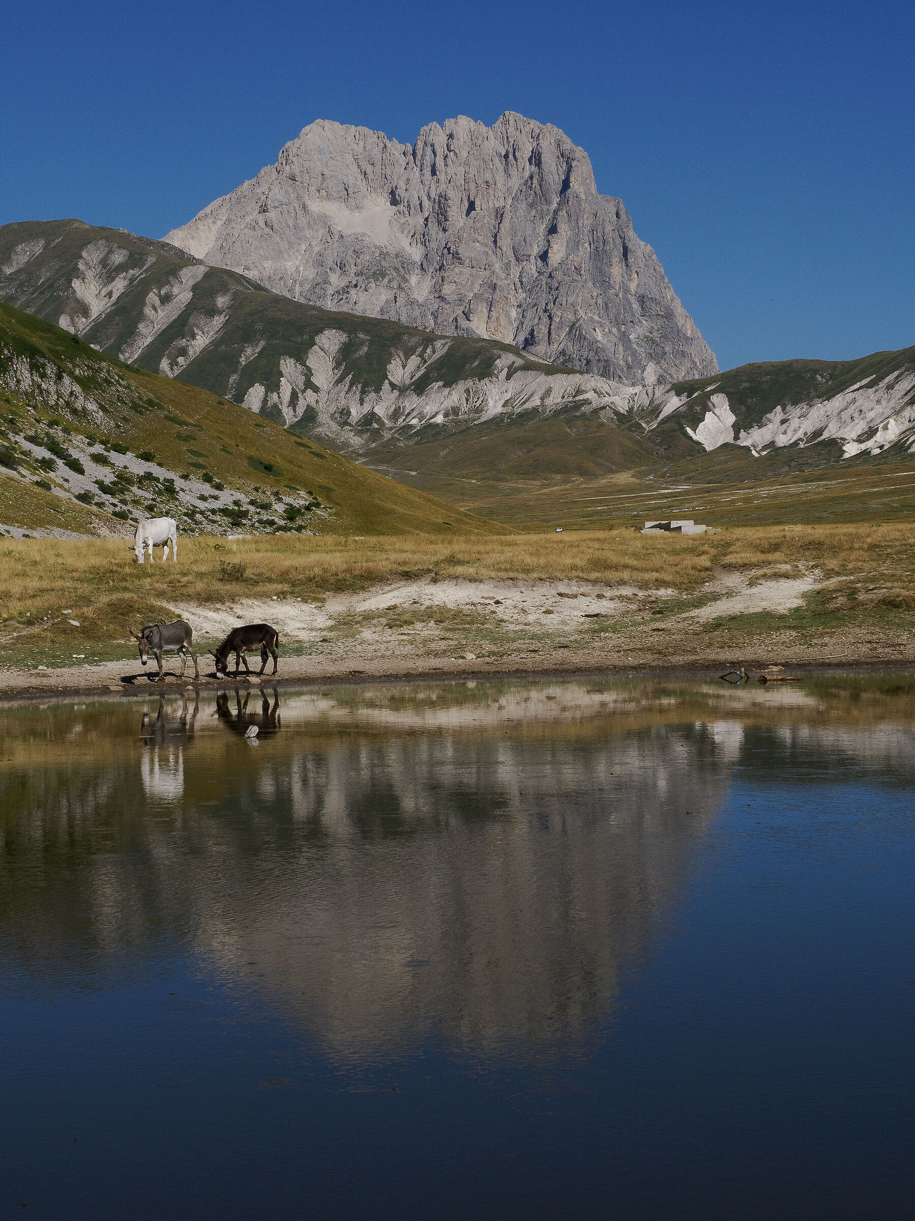 Abruzzo