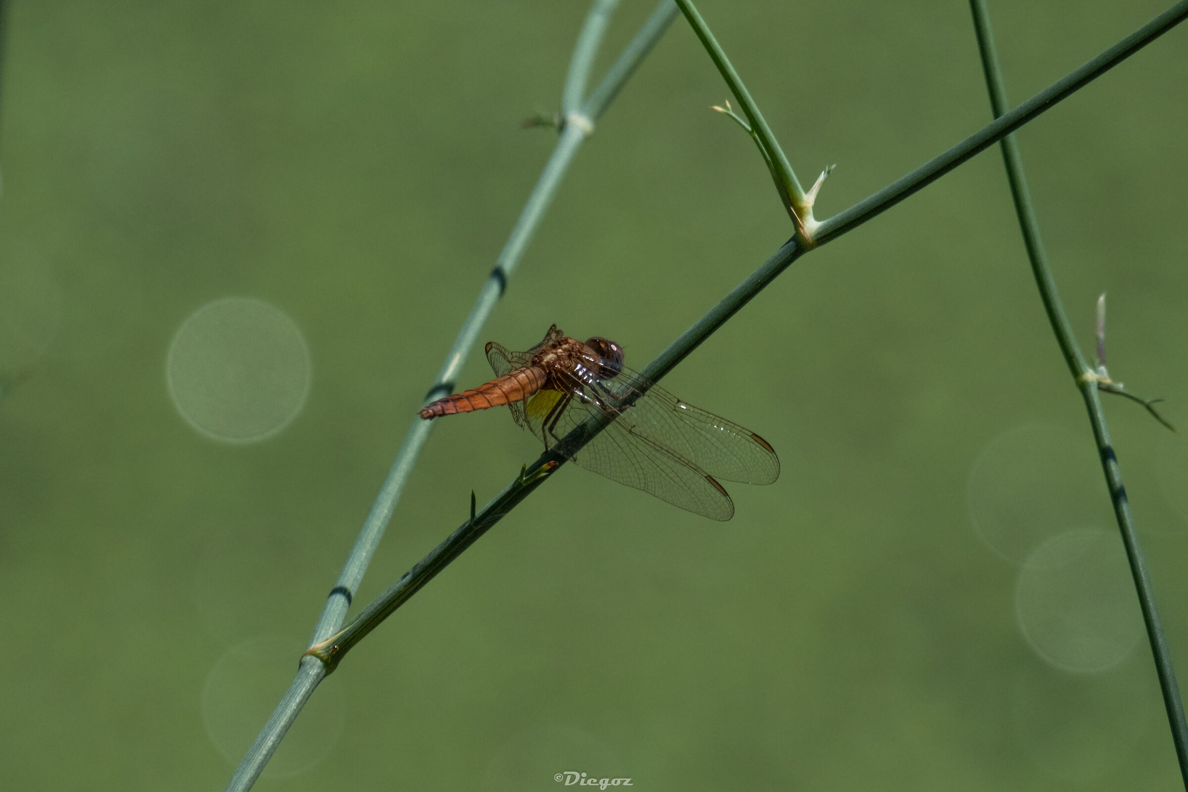 Untitled Photo