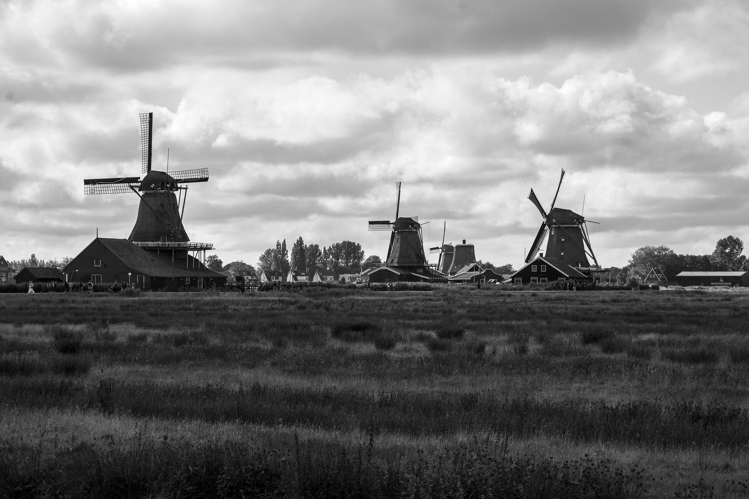 Zaanse Schans (Olanda)