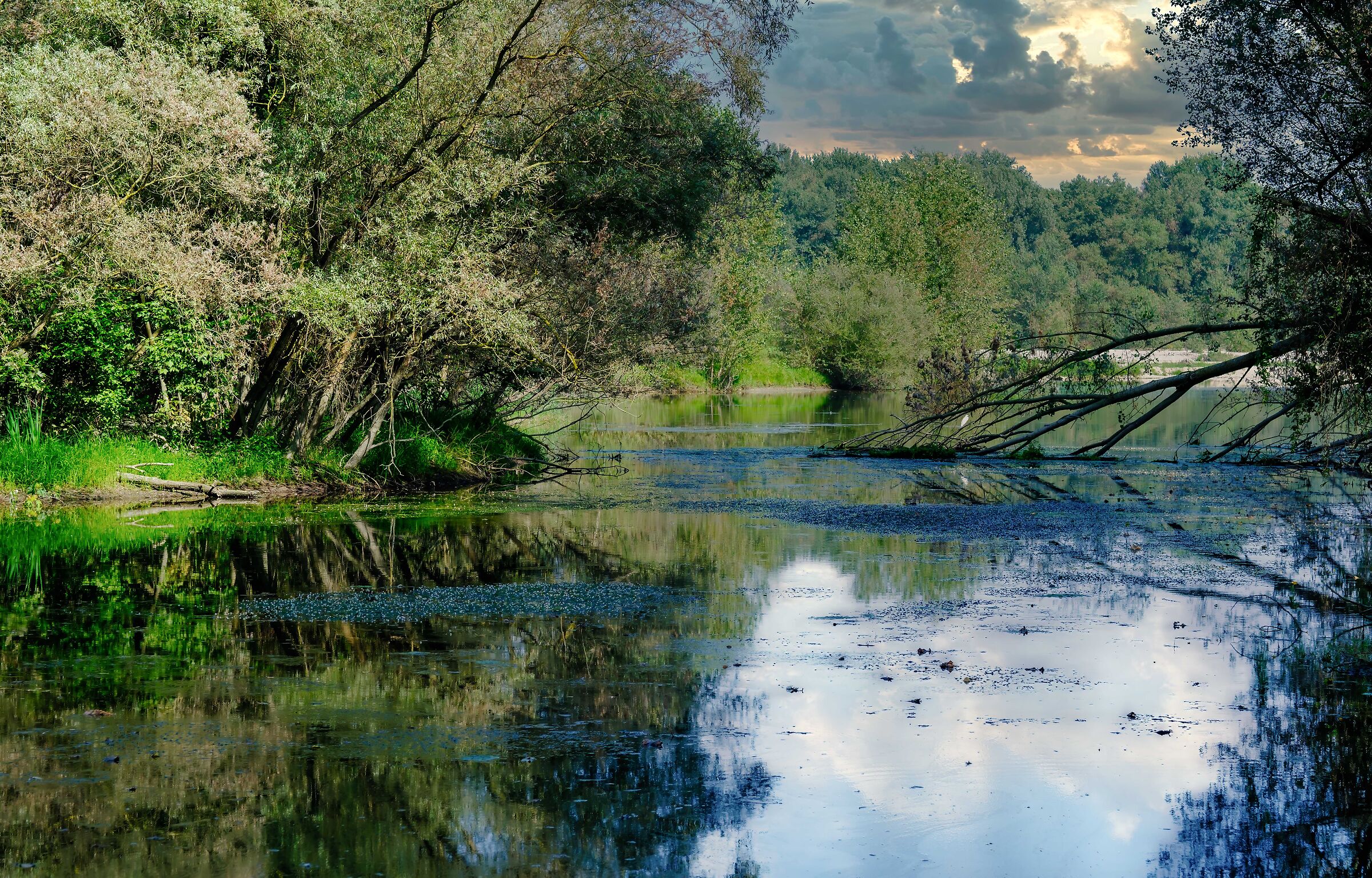 An oxbow