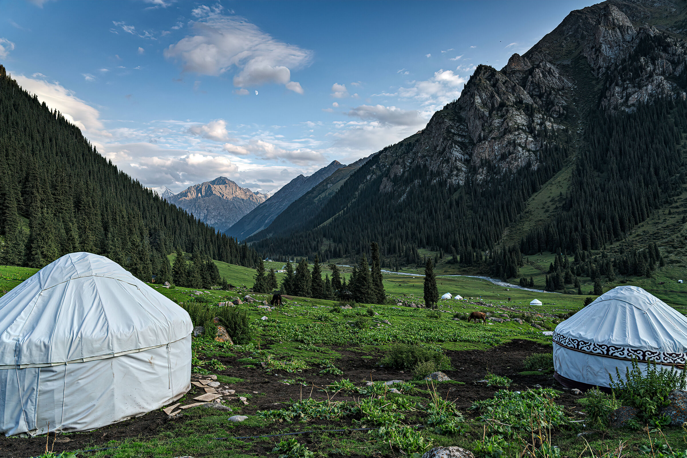 Altyn Arashan valley