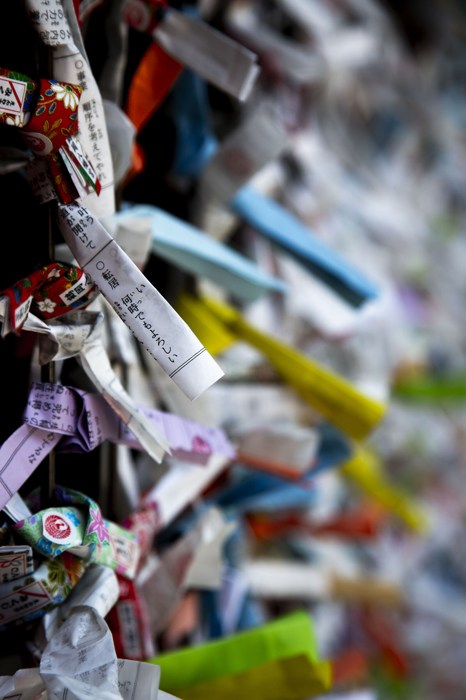 Kamakura-Tsurugaoka Hachiman