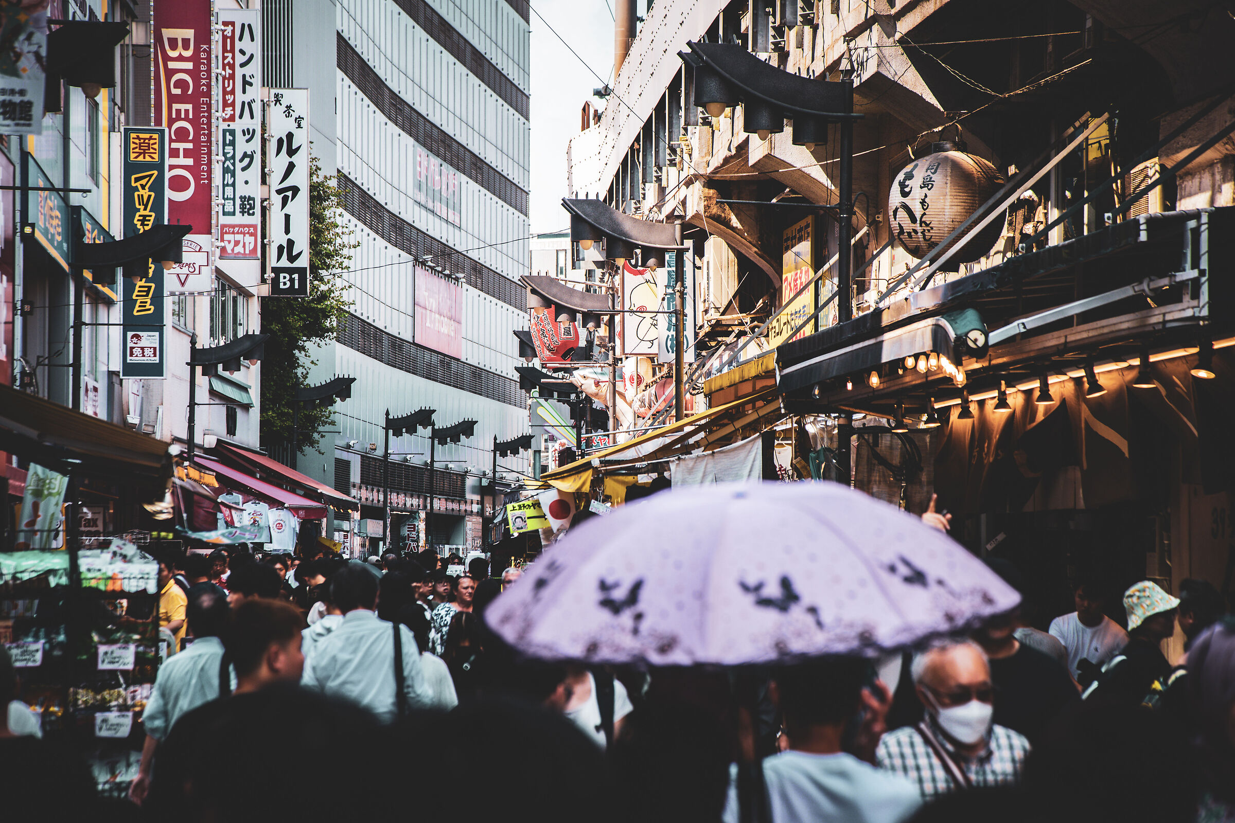 Tokyo-Ueno Street