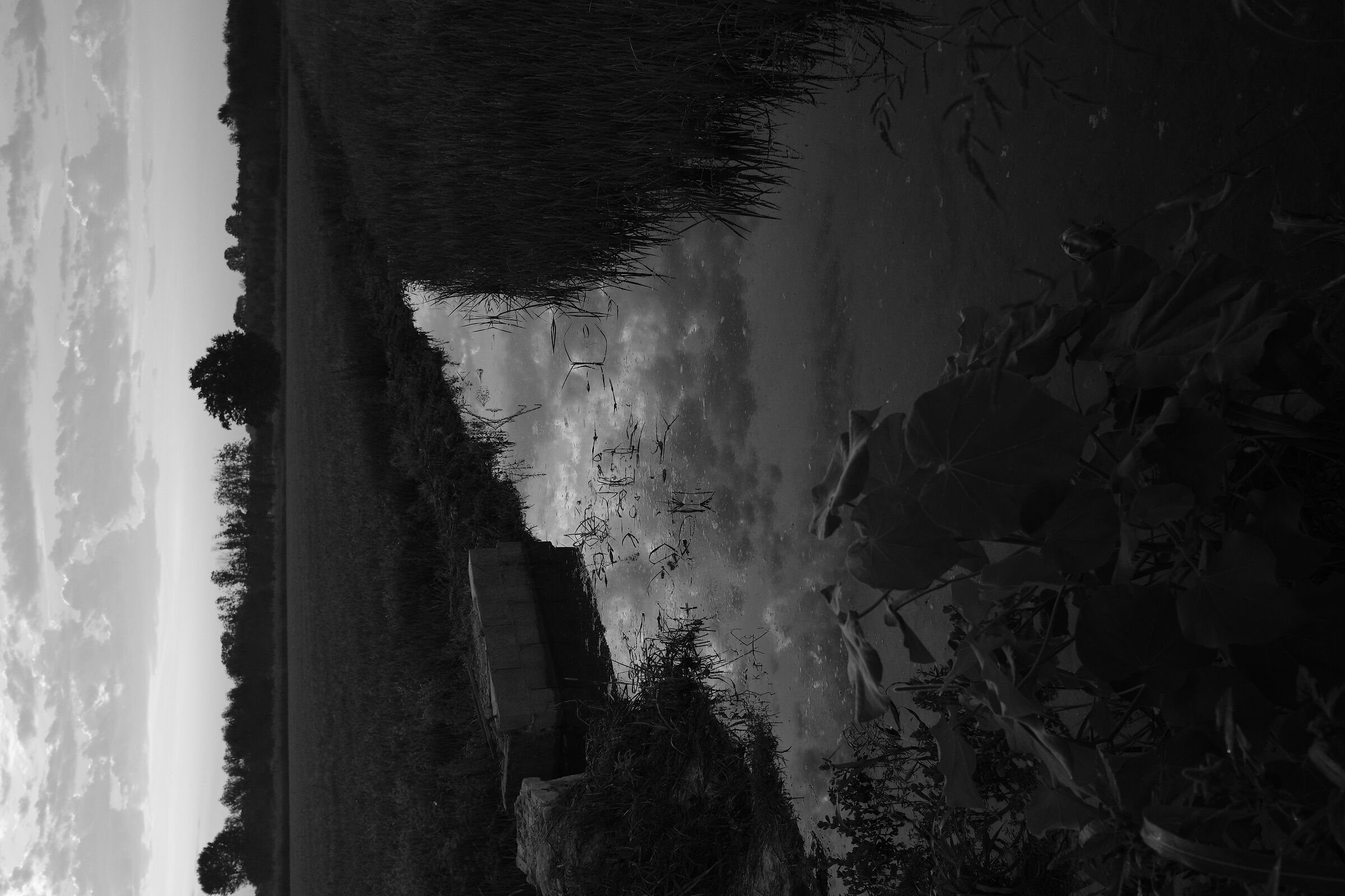 Canale di irrigazione 7