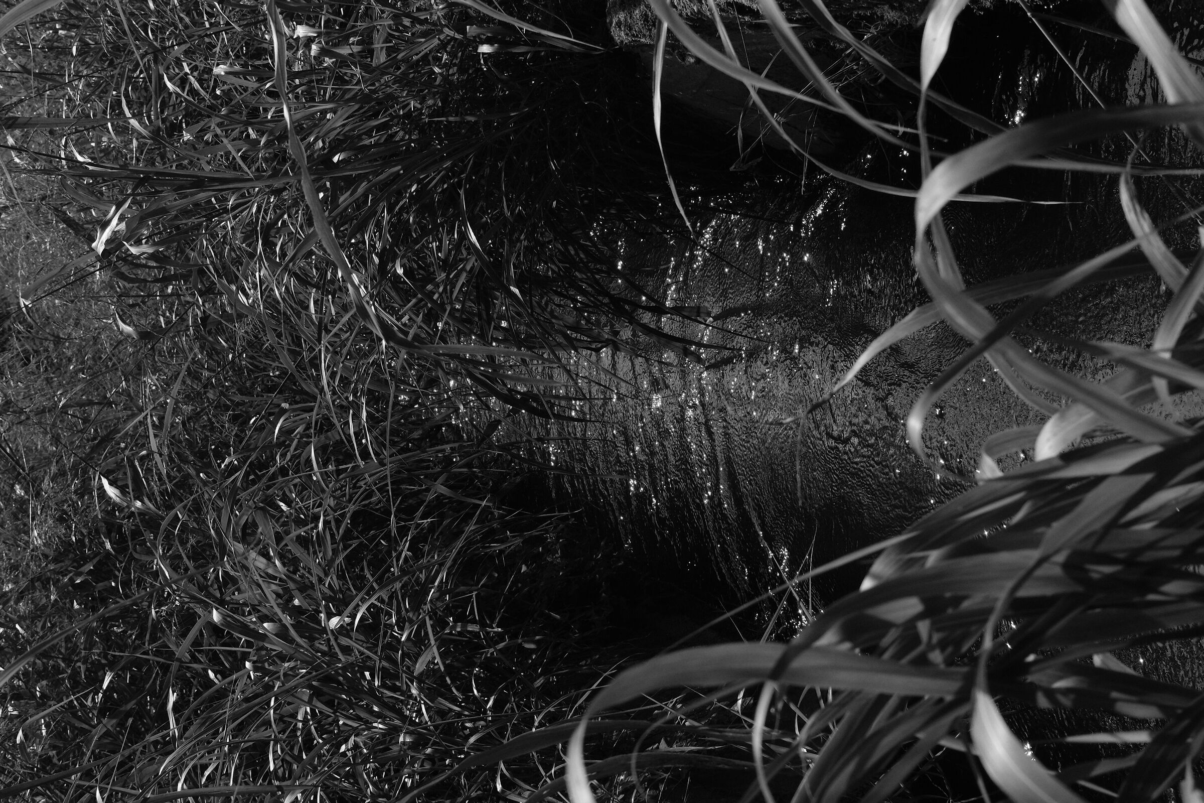 Canale di irrigazione 8