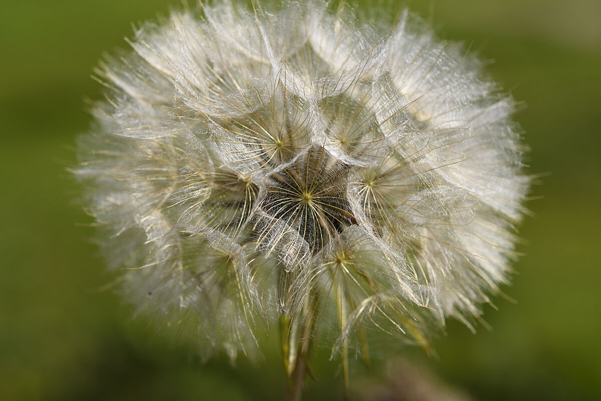 Before the wind blows me away