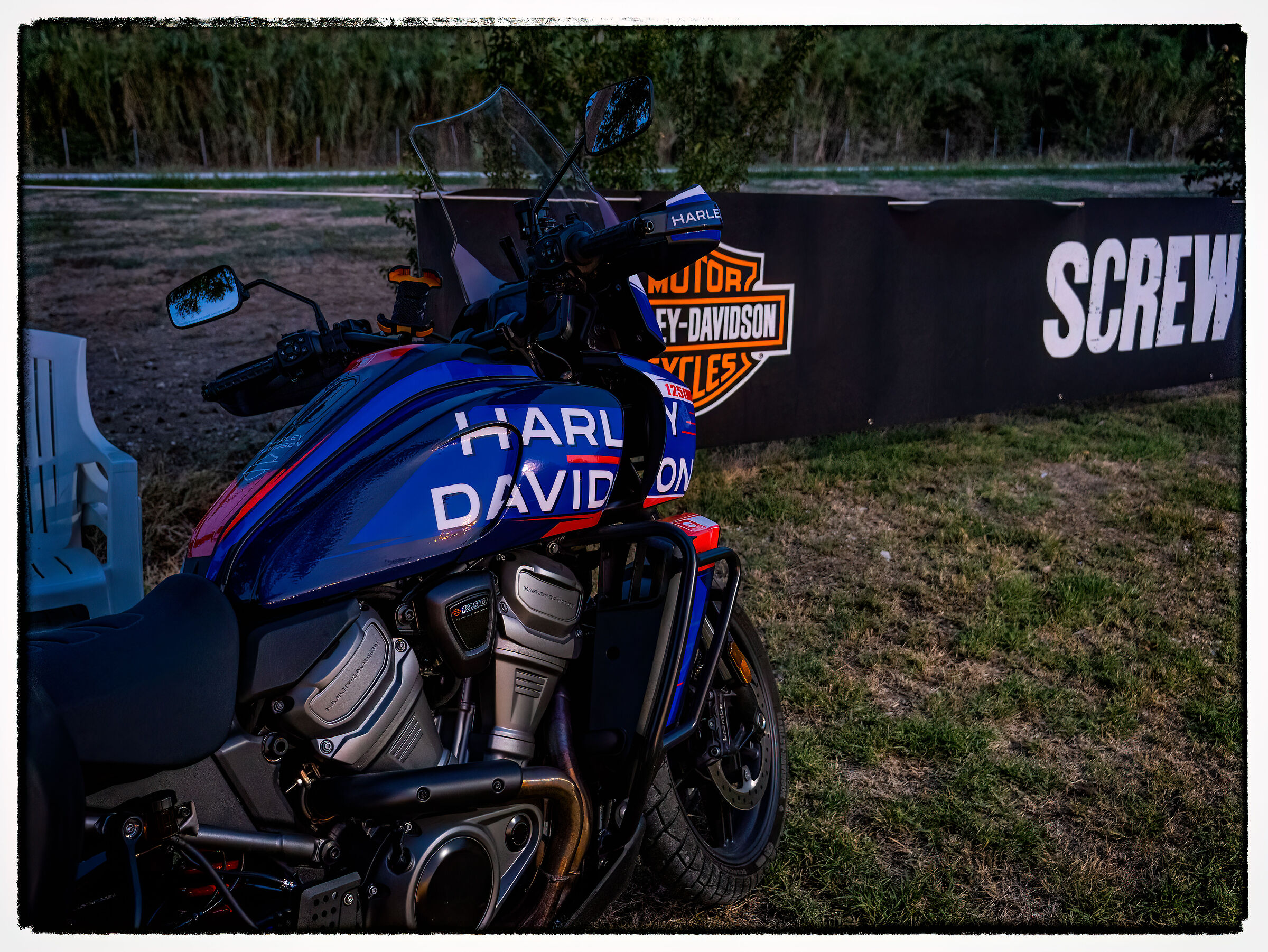 LUPI MARIS AUGUST 2024