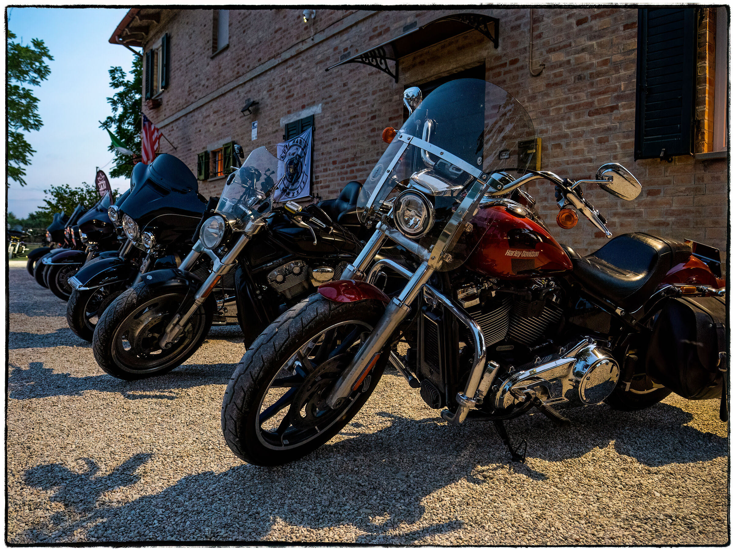 LUPI MARIS AUGUST 2024