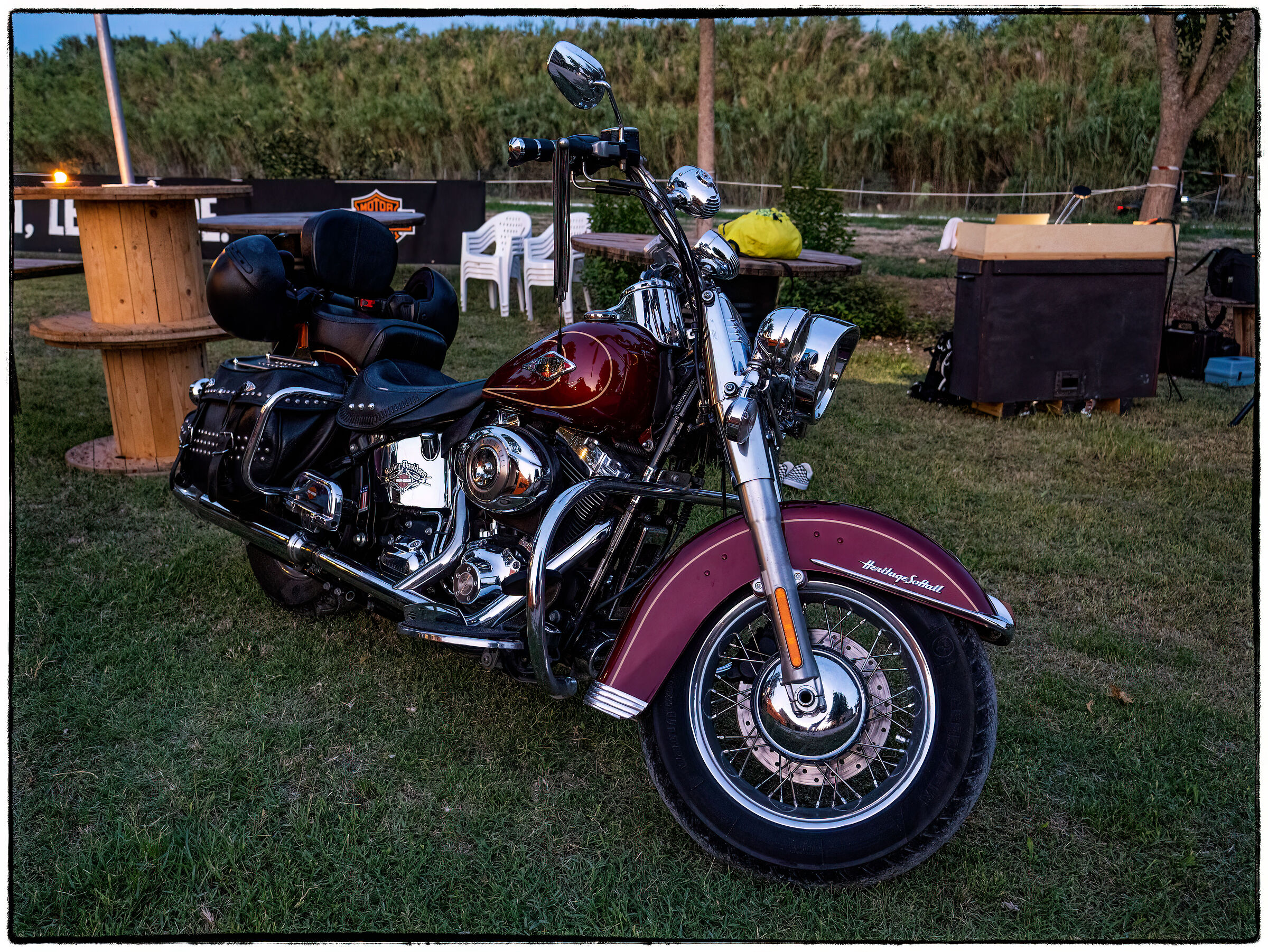 LUPI MARIS AUGUST 2024