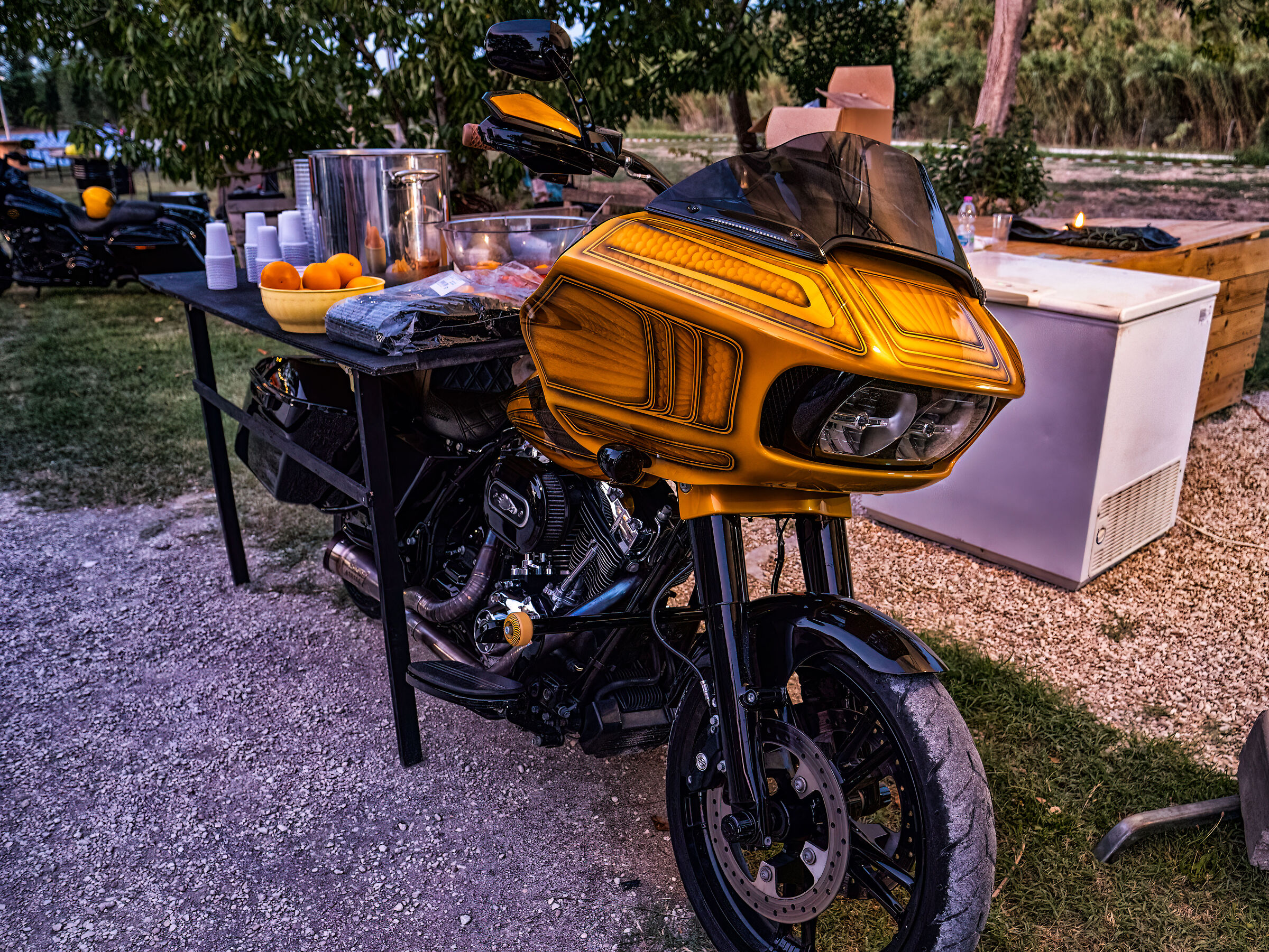 LUPI MARIS AUGUST 2024