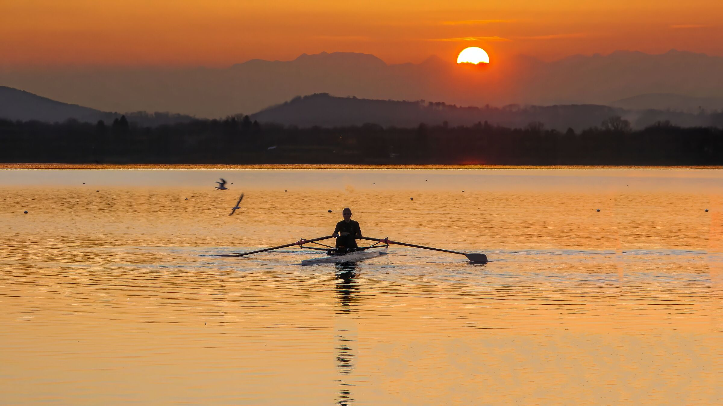 We continue to row ...