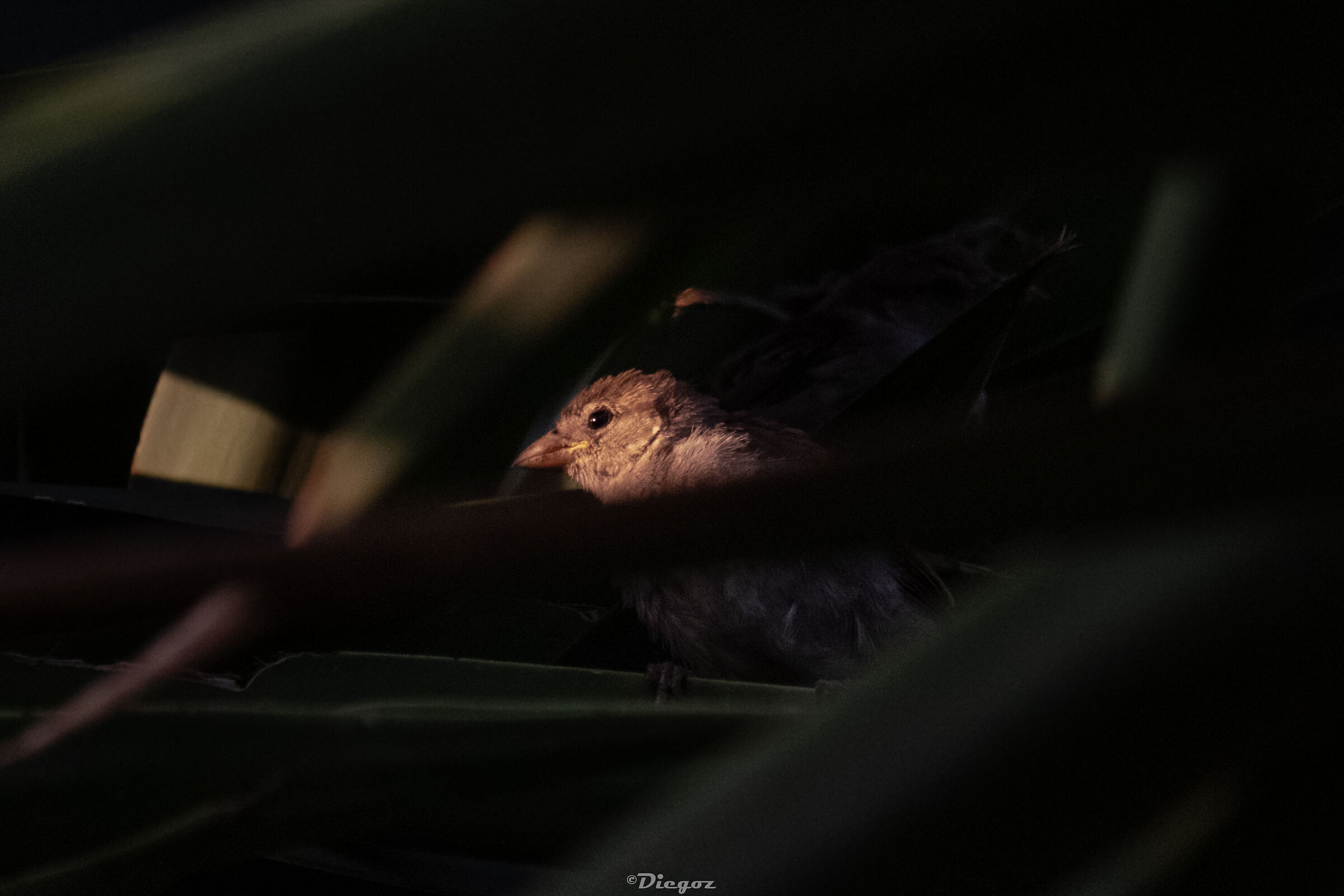 Untitled Photo