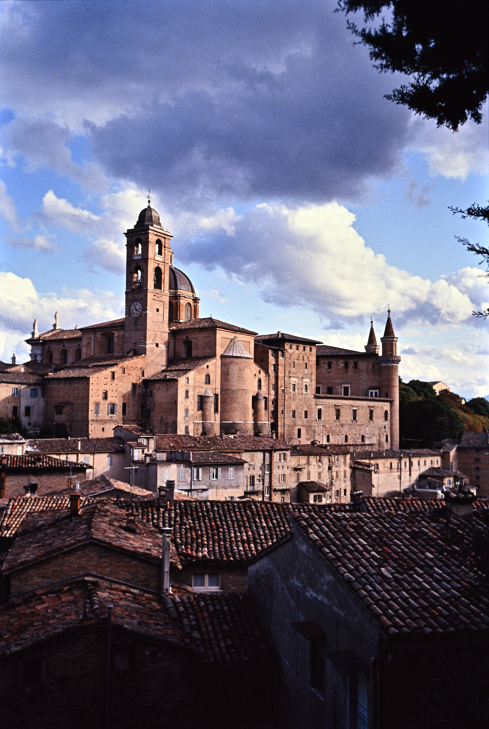 Roofs of Urbino