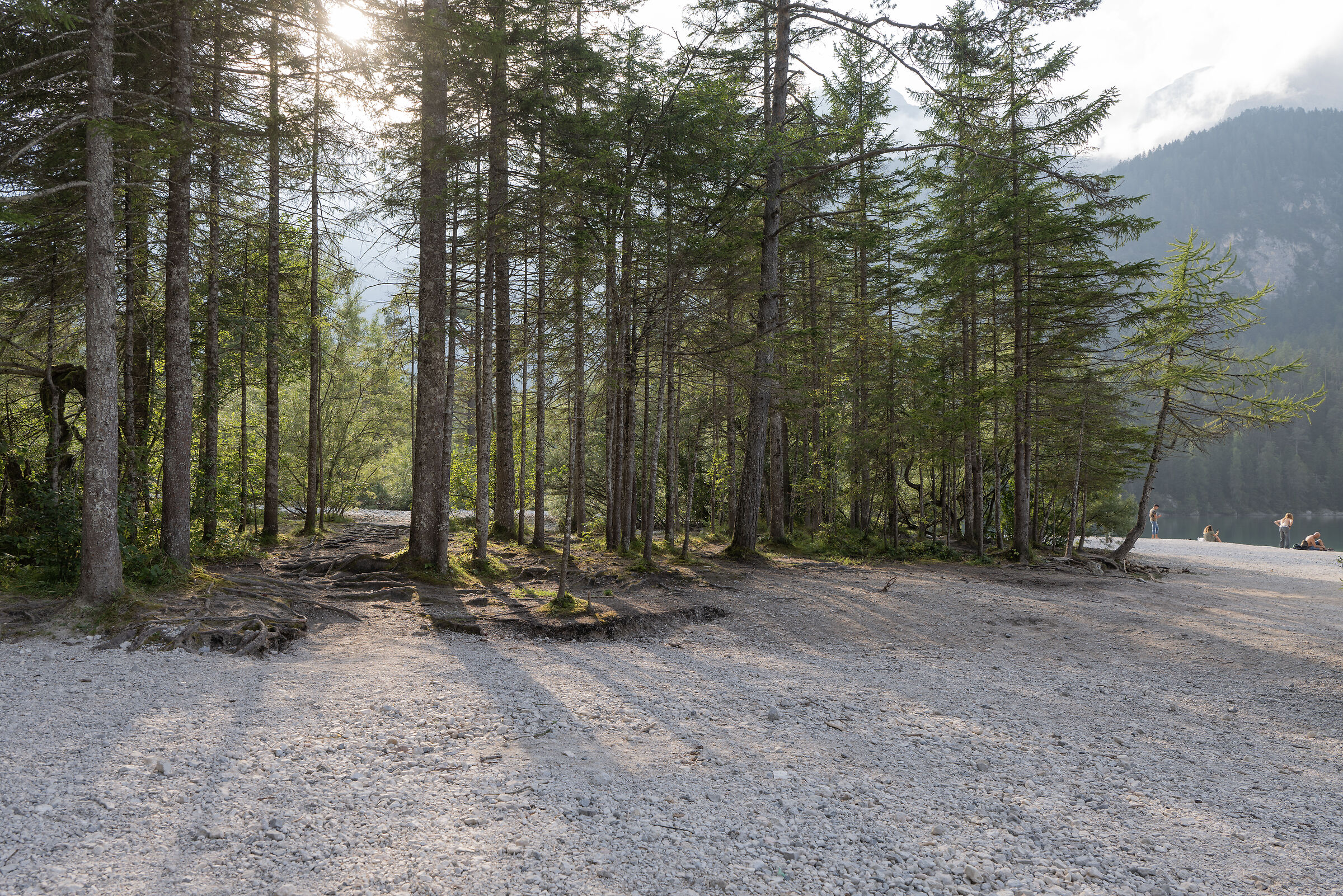 Lago di Tovel - spiaggia