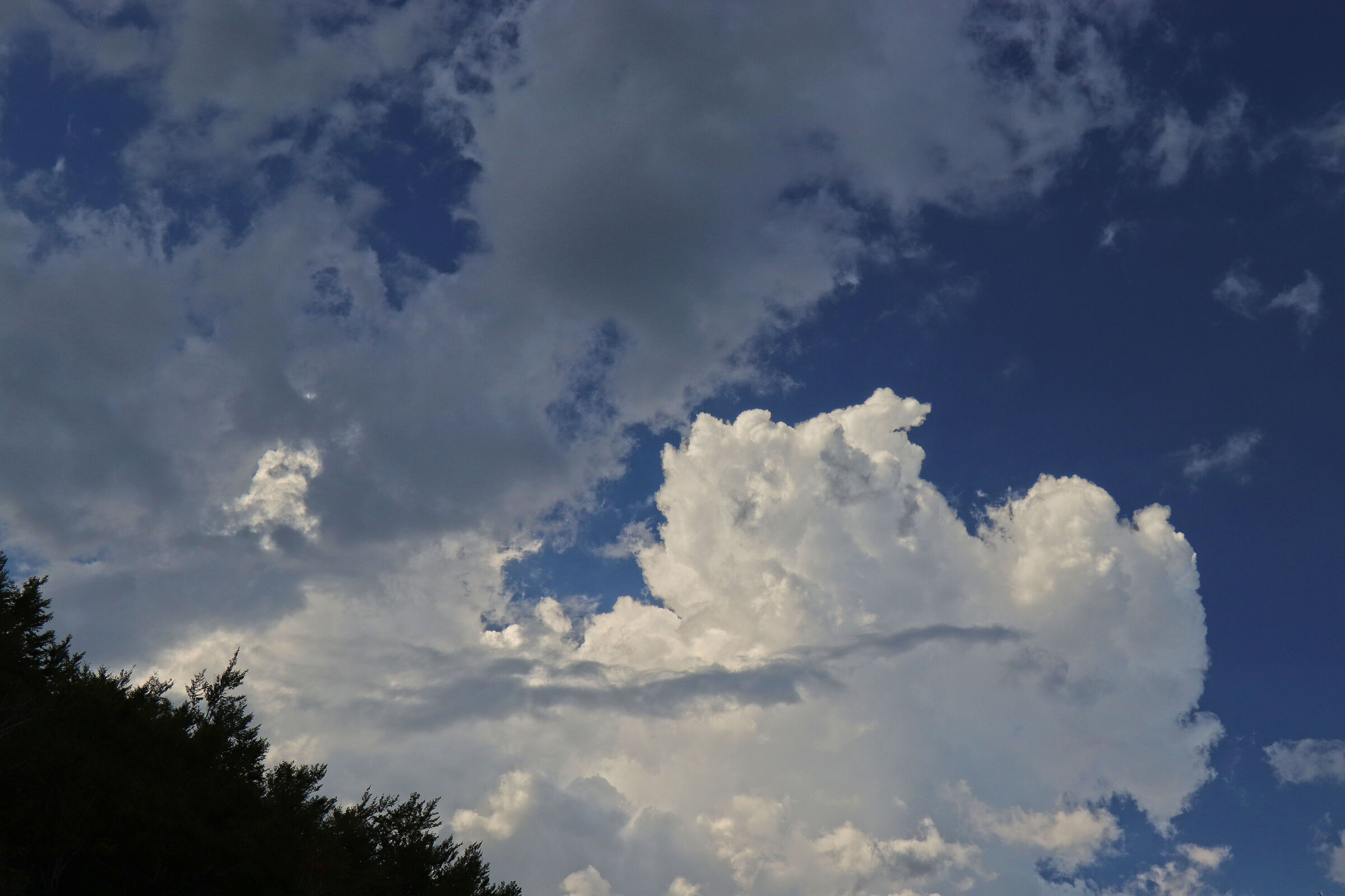 Late summer cloud disorder