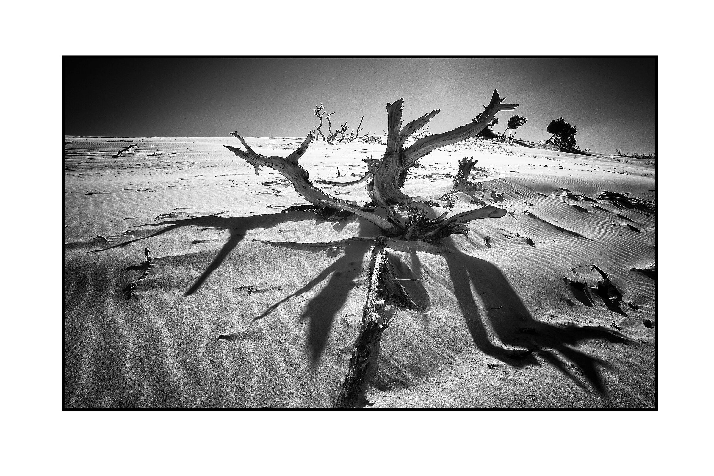 Dunes*
