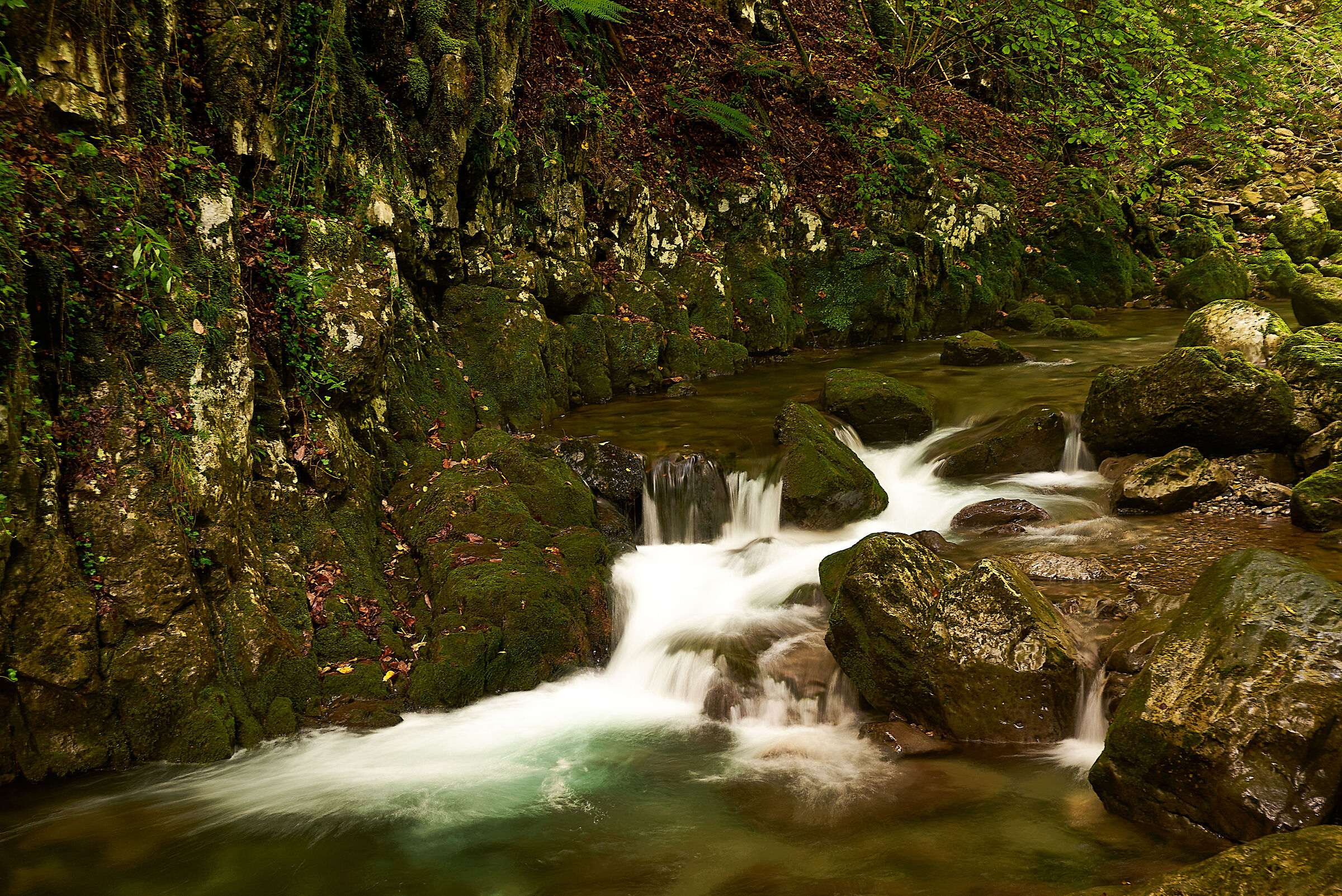 Everything flows fast: the water of the stream and the holid...