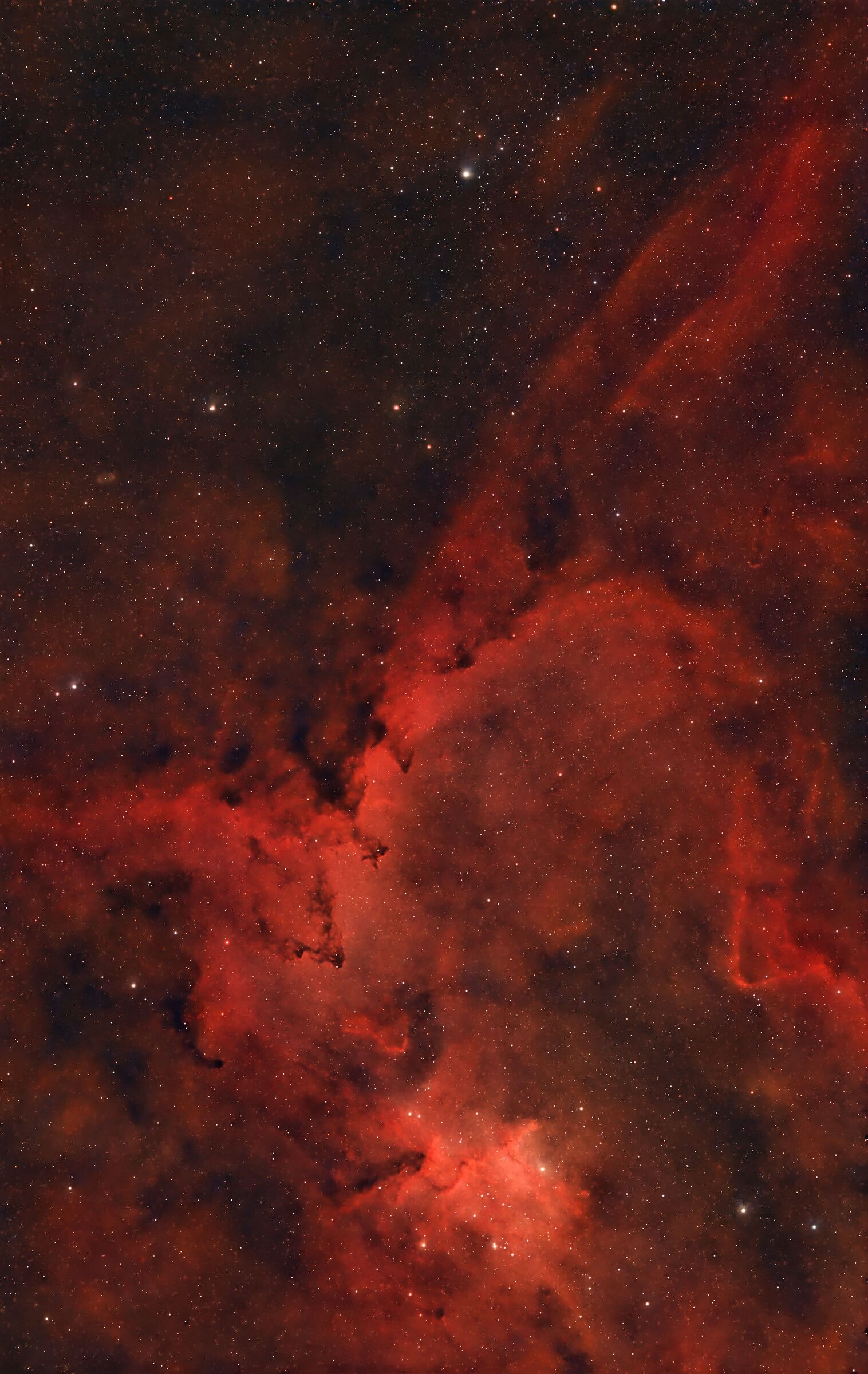 The clusters of the heart