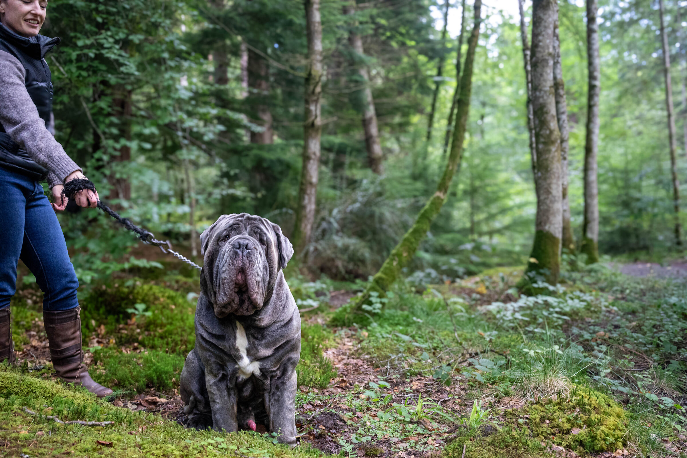 forest dog