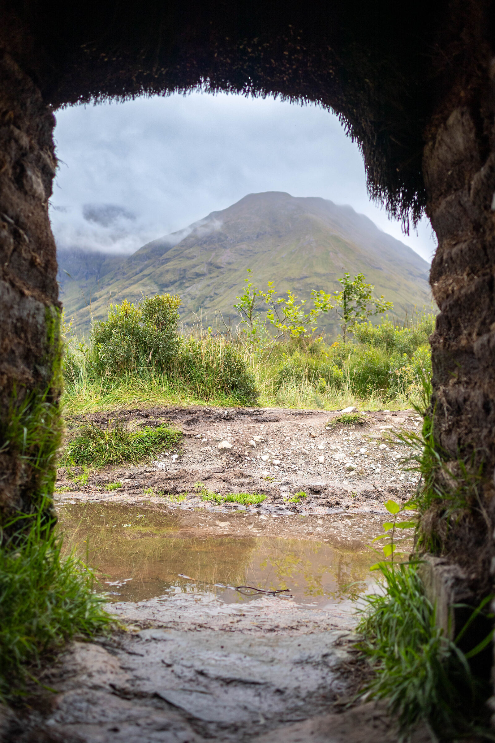 peek out of the house