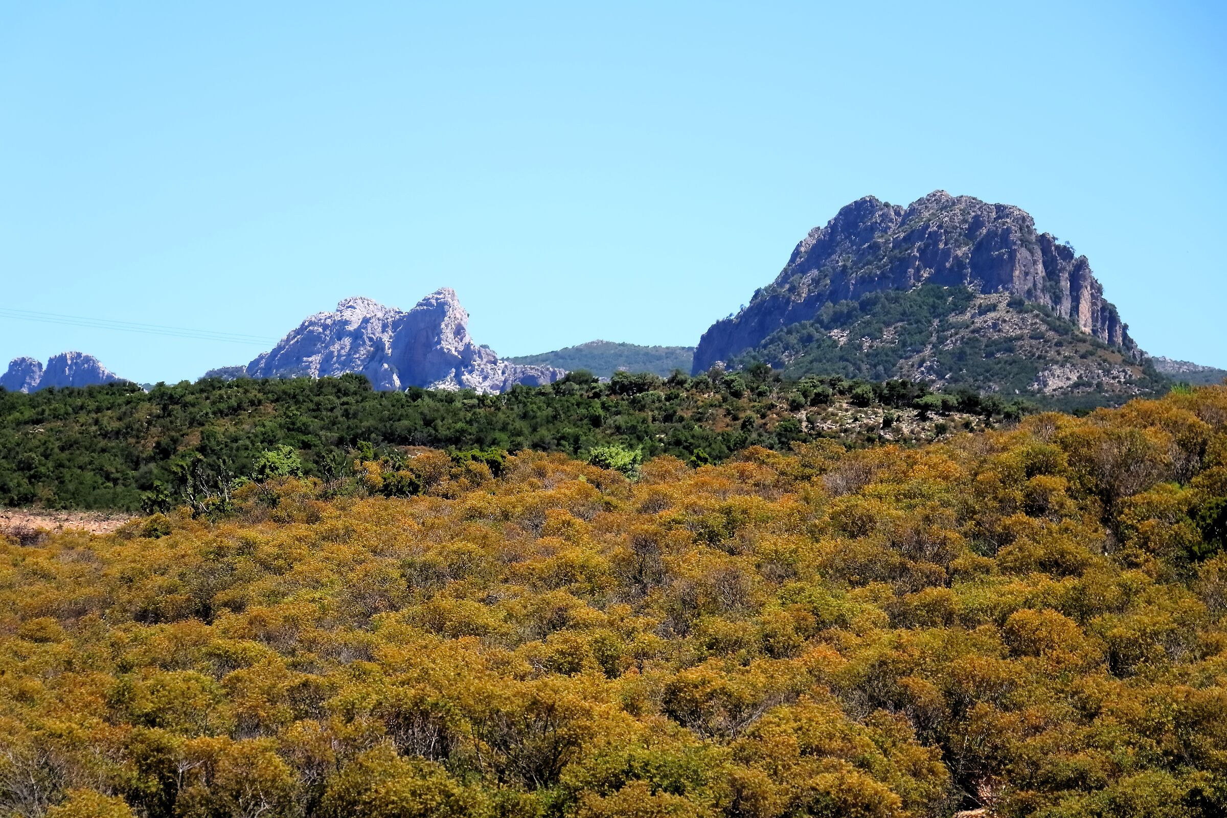 Interno 22-06-2024 - 1101