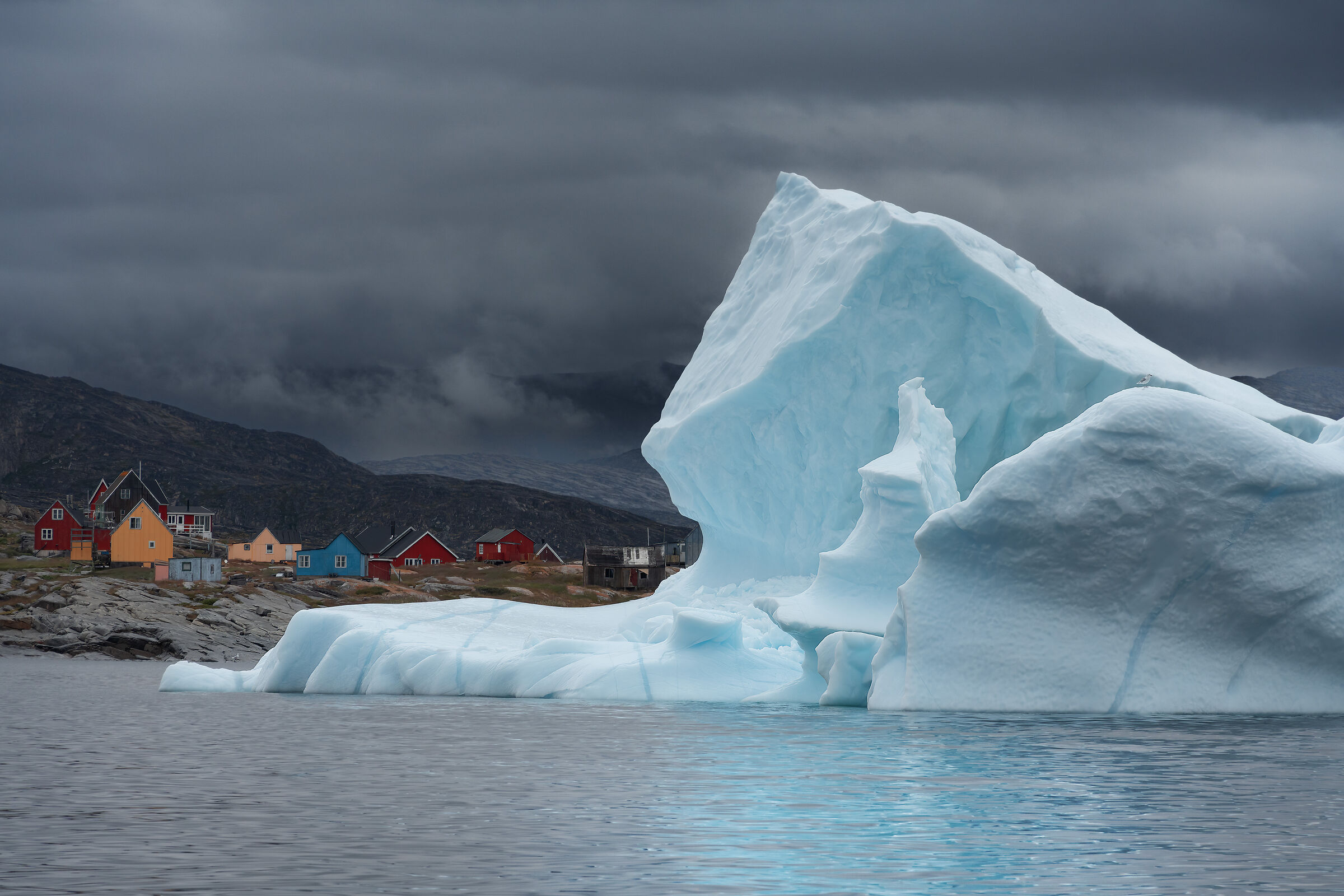 Il leone di ghiaccio