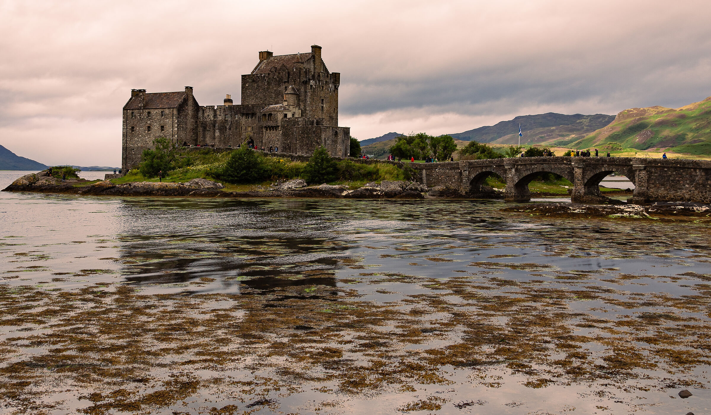 Donan