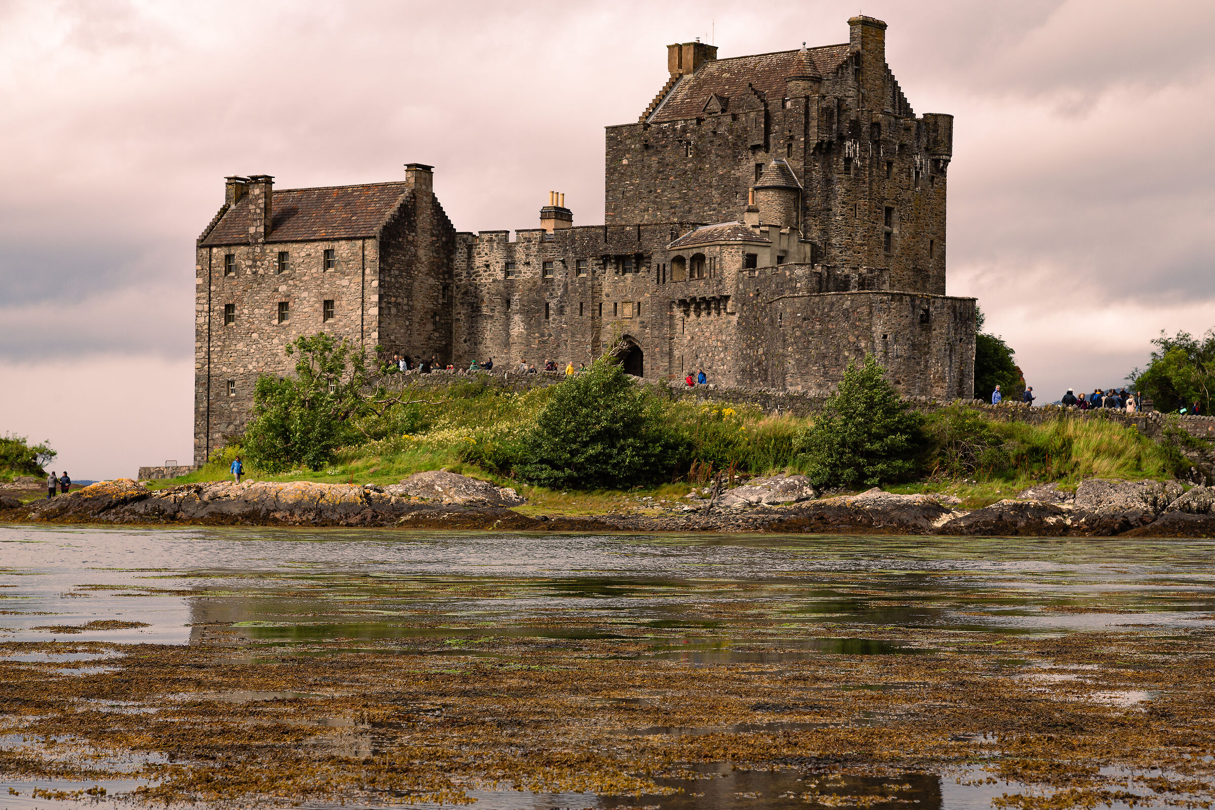 Donan