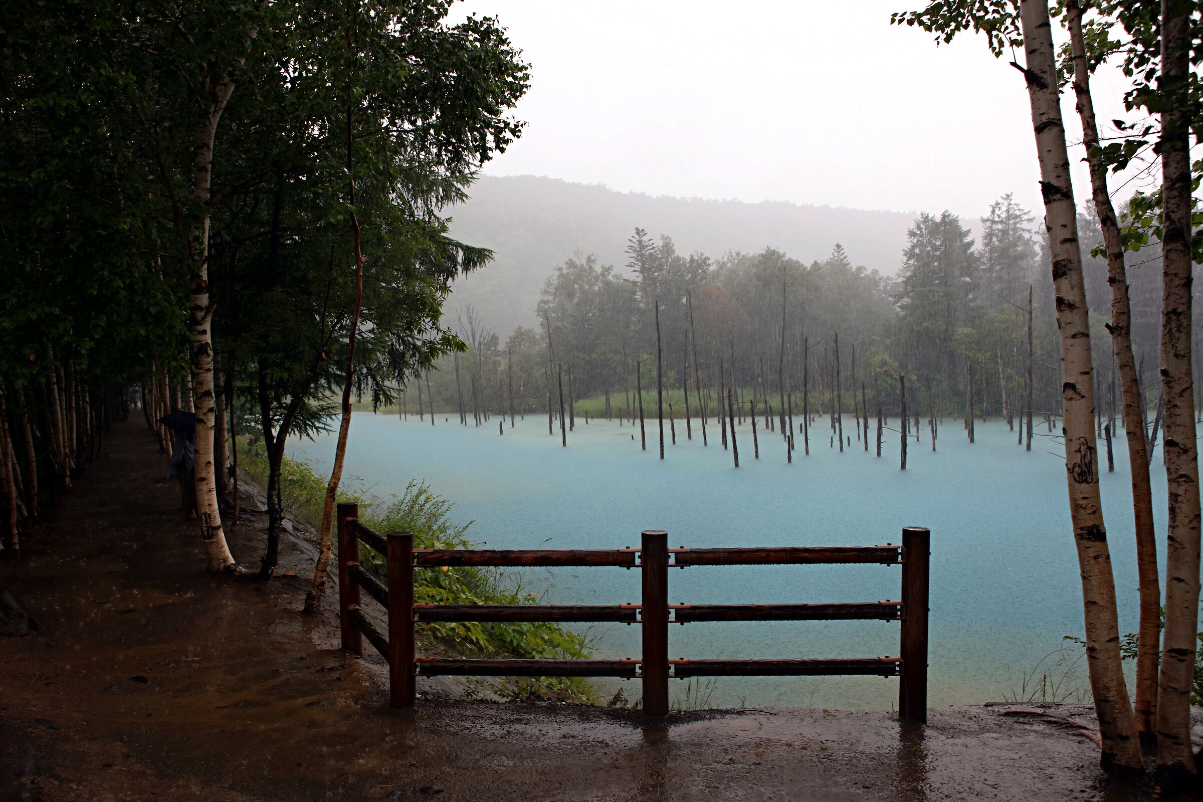 Stagno Blu di Biei Shirogane
