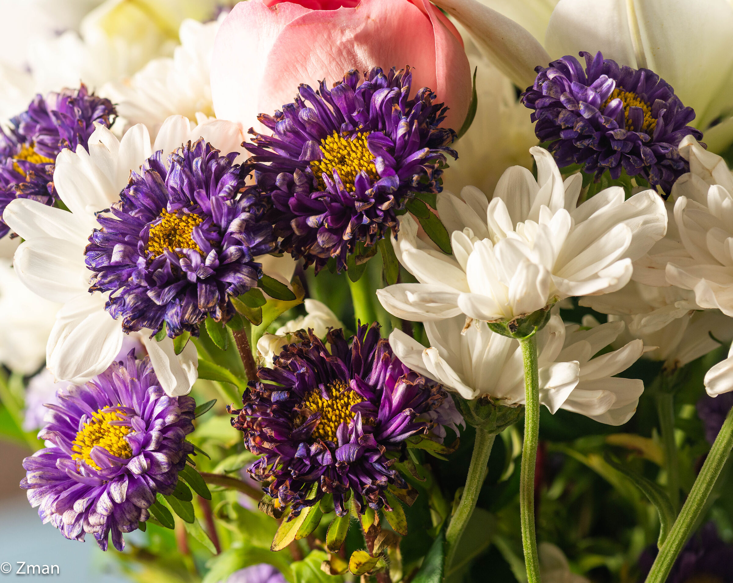 Bouquet of Flowers