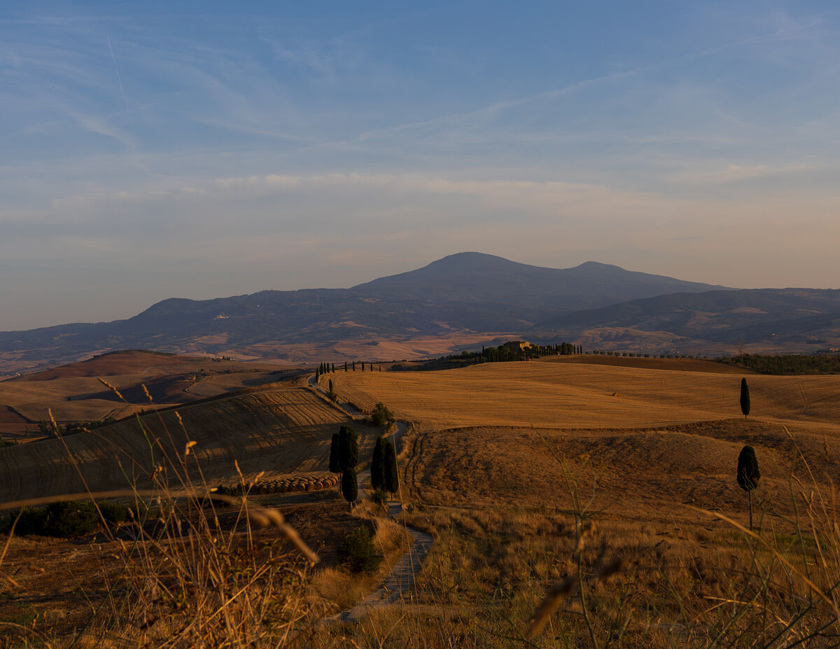 Campi Elisi