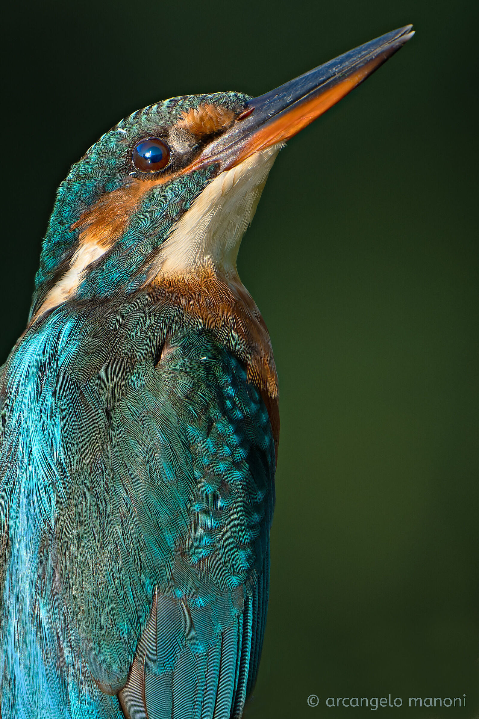 Turn around, wonderful creature!