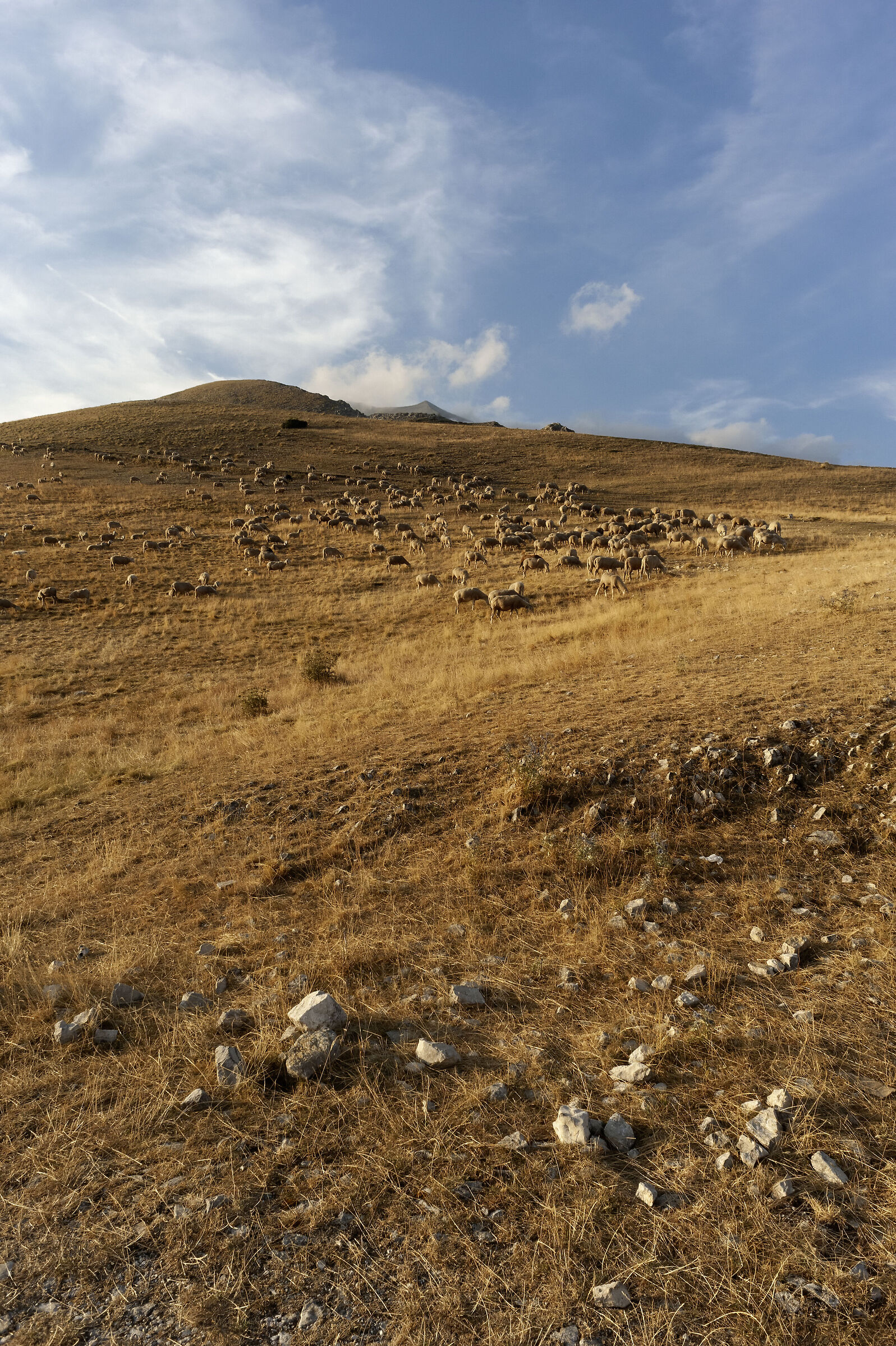 Castelluccio di Norcia