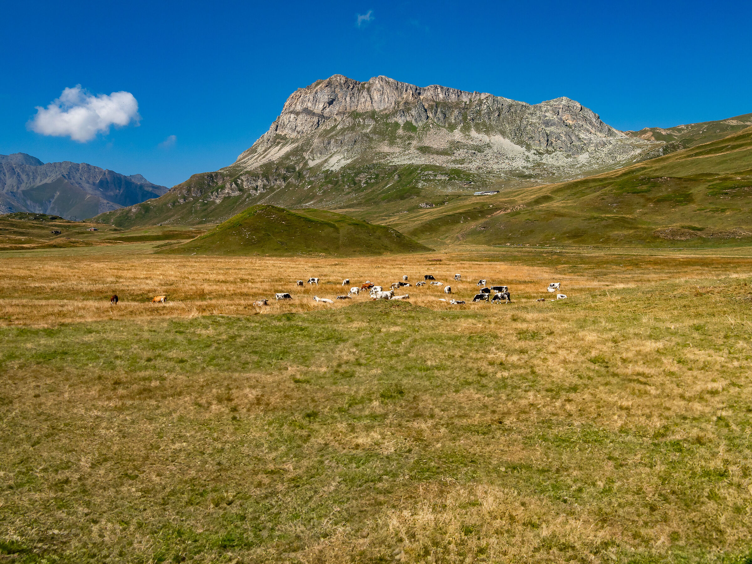 Montana, Nebraska, Wyoming, no Mont Cenis pass.