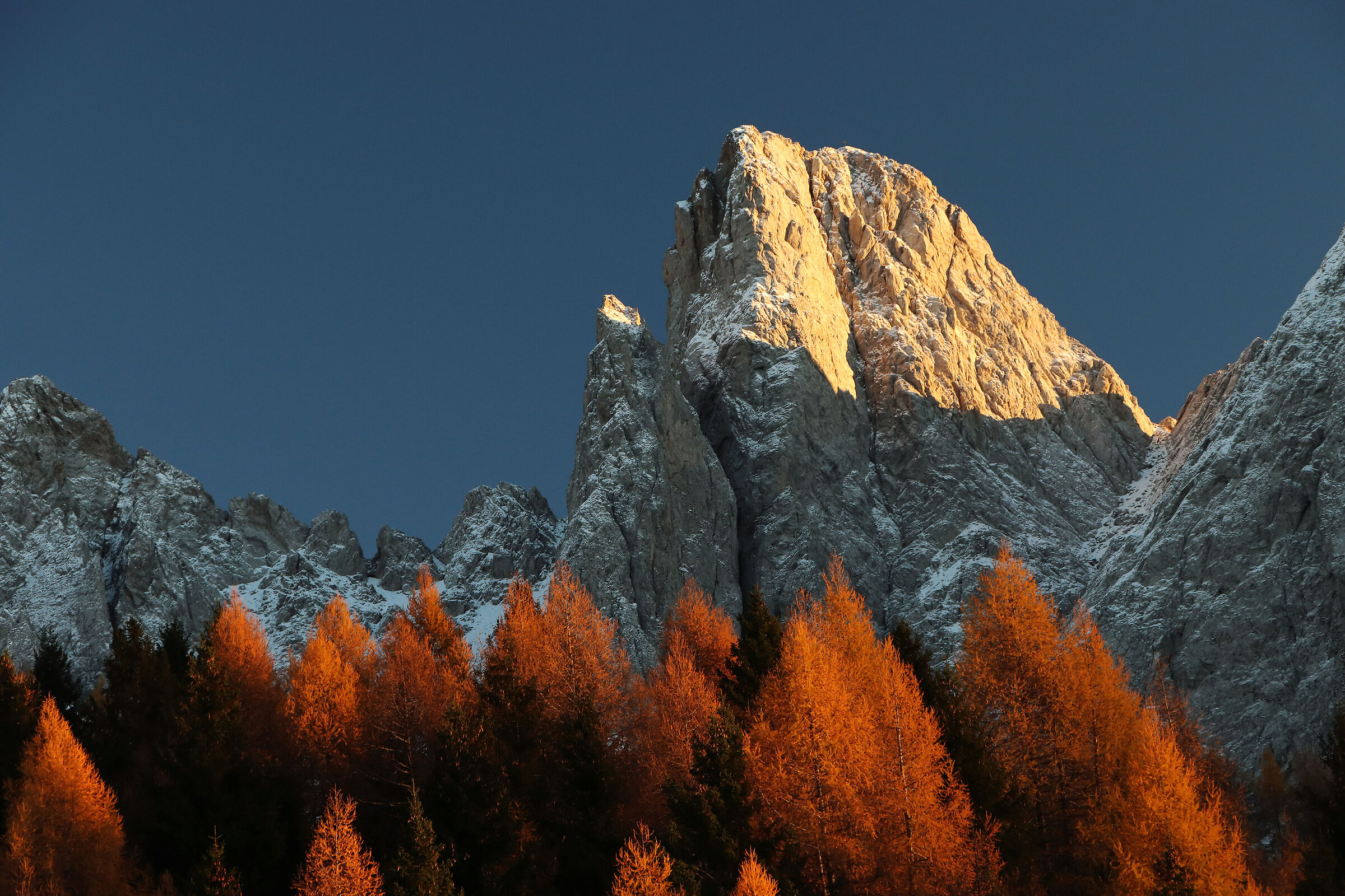 Fiery Campelli - I can't wait...