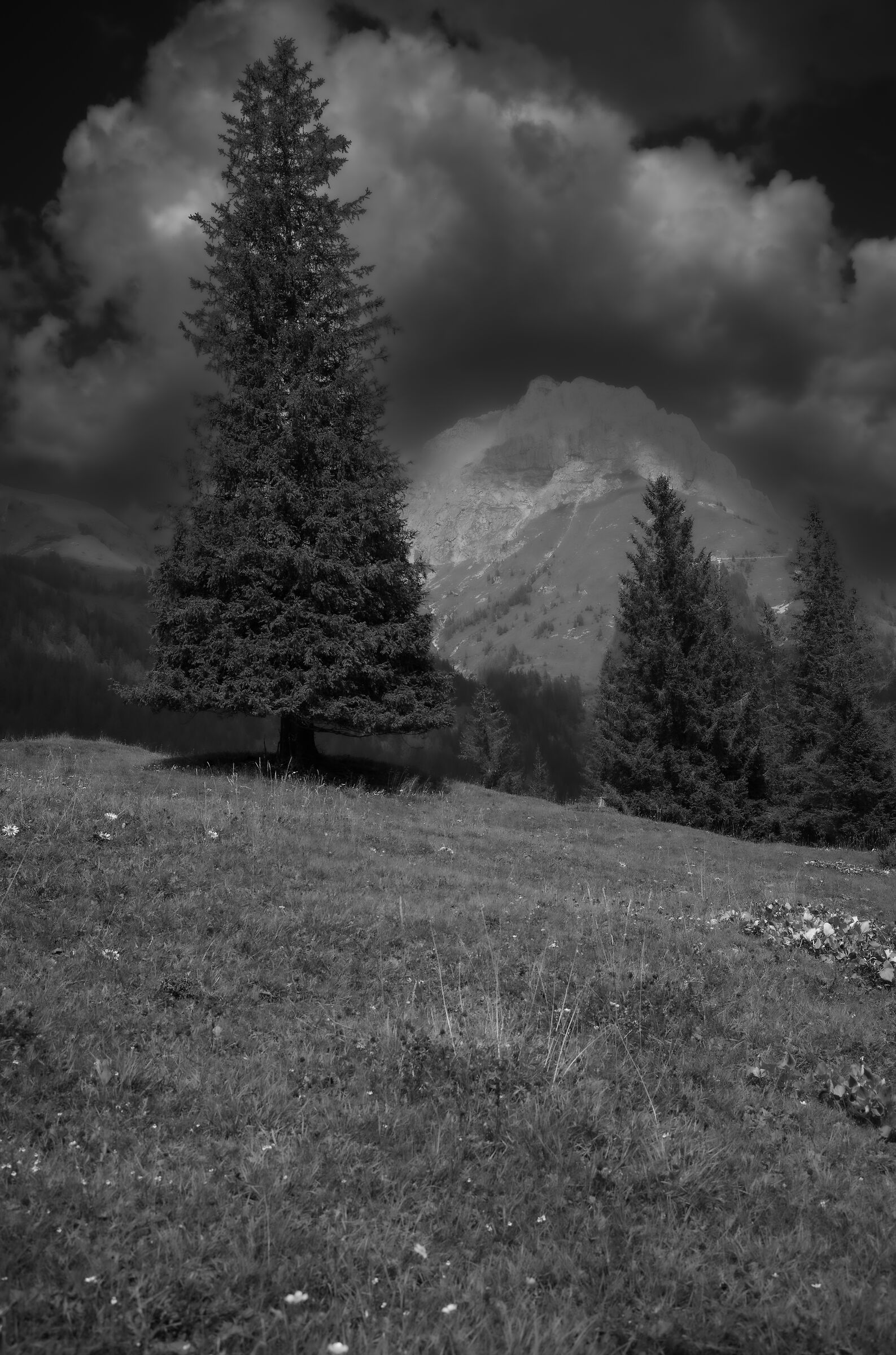 Afternoon in the mountains