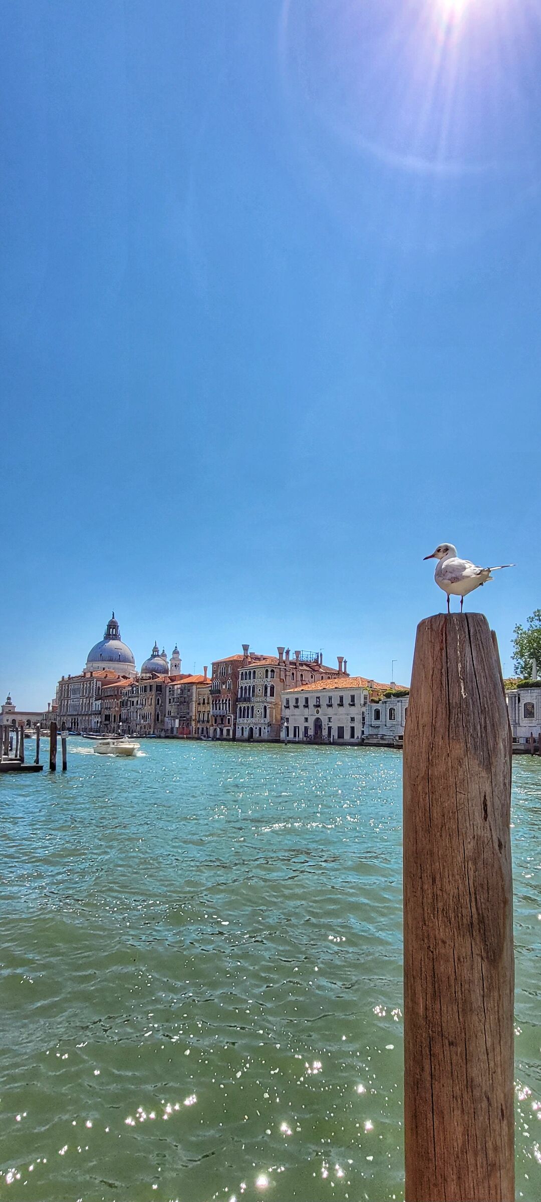 Venice
