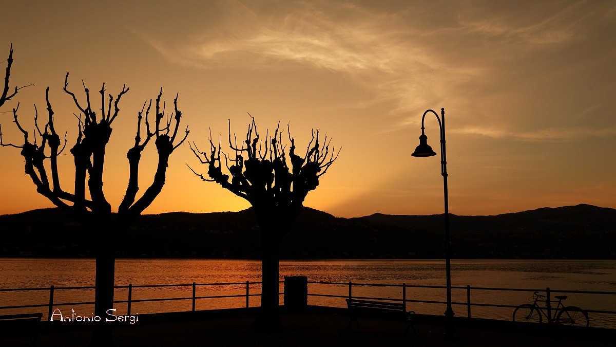 Angera l'ago maggiore