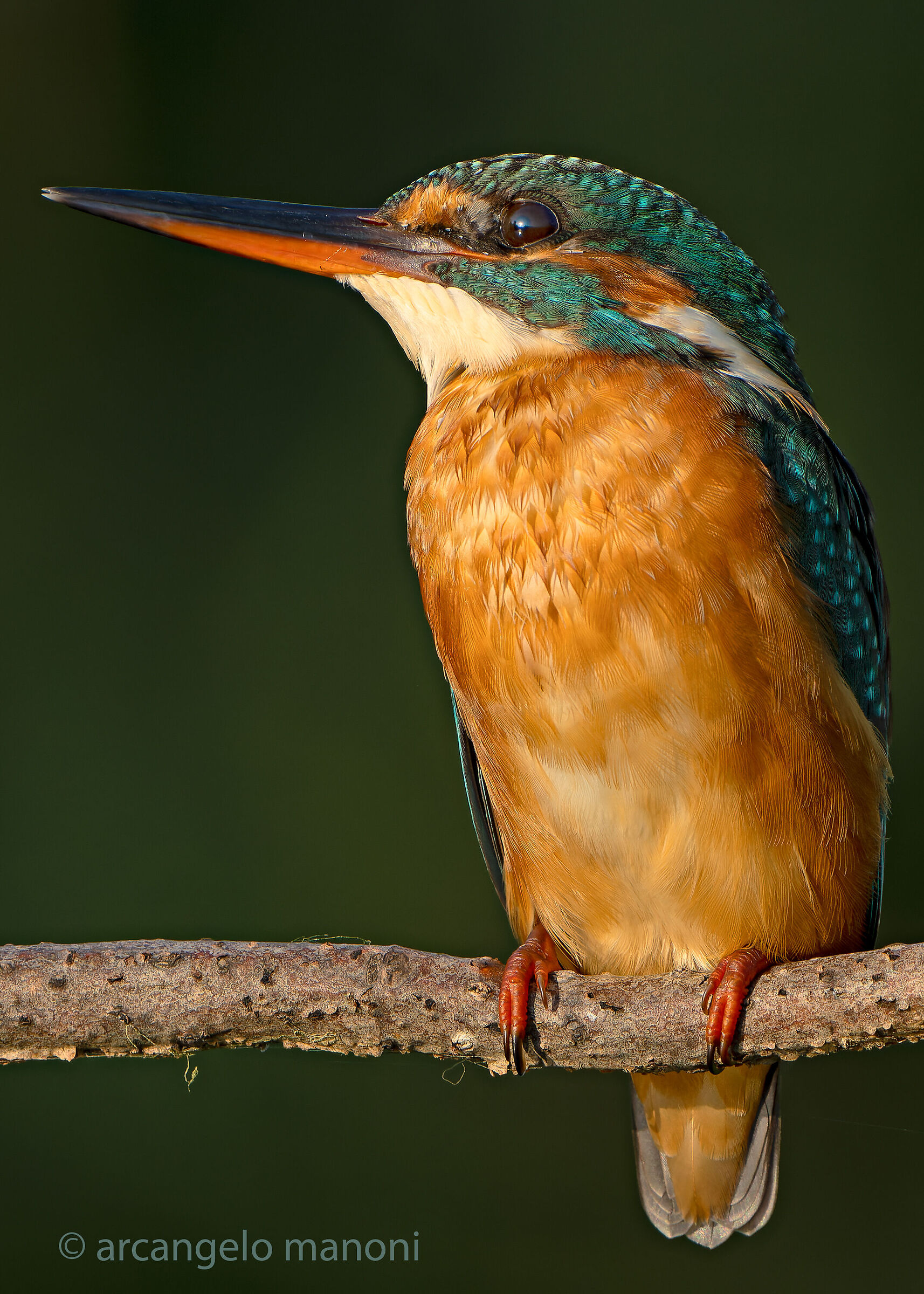 When the first morning sun kisses my martina