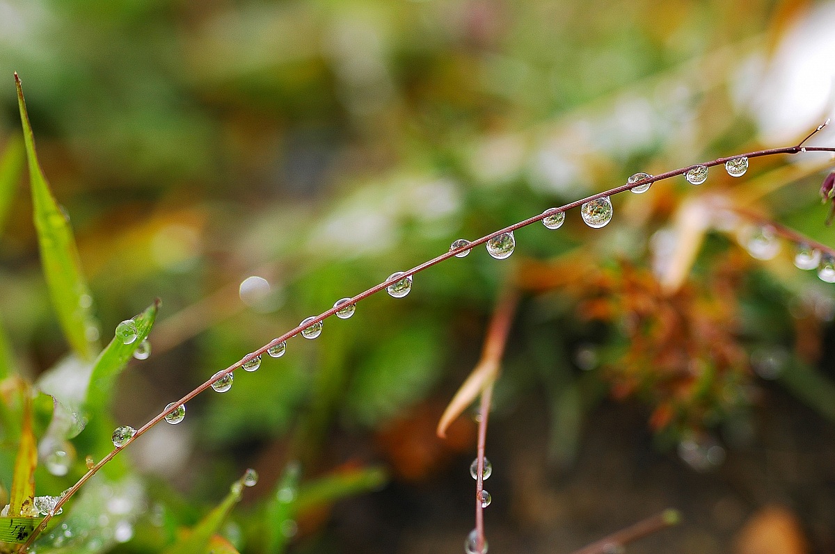 Fino all'ultima goccia