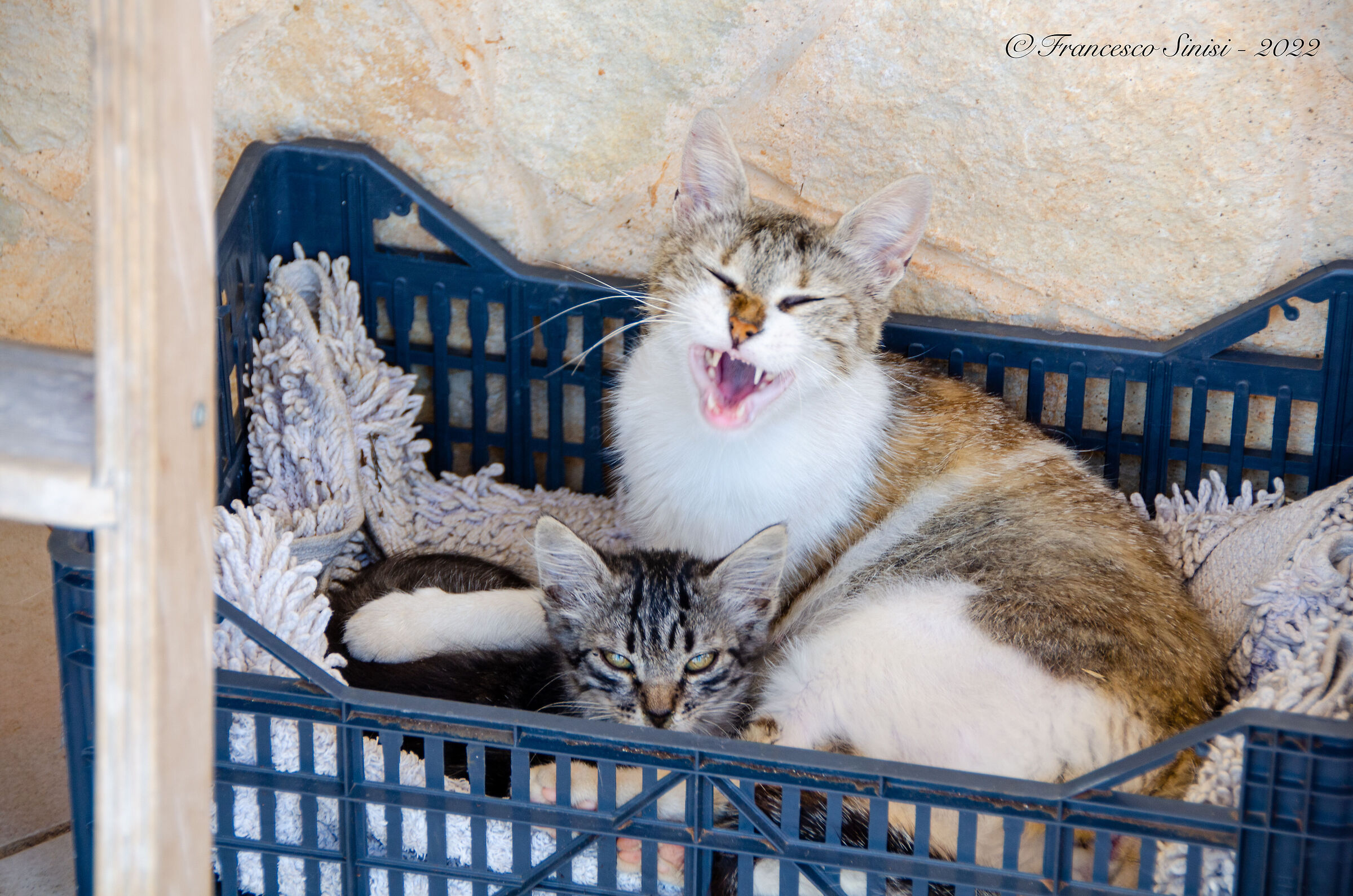Sera e Etta