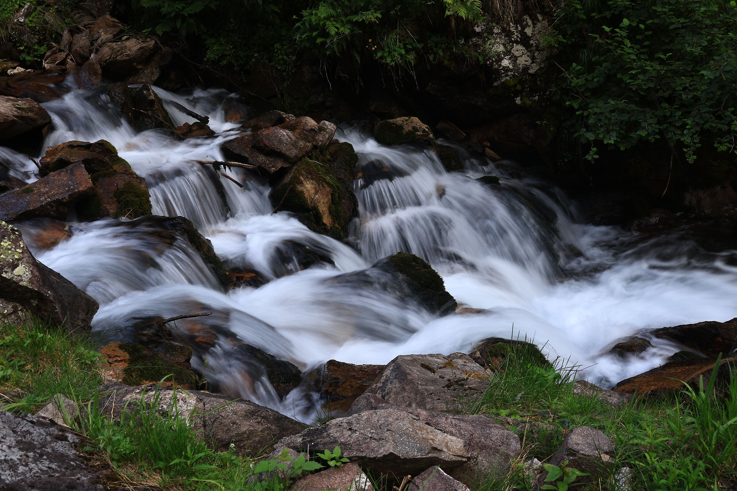 Clear Sweets Fresh Waters .