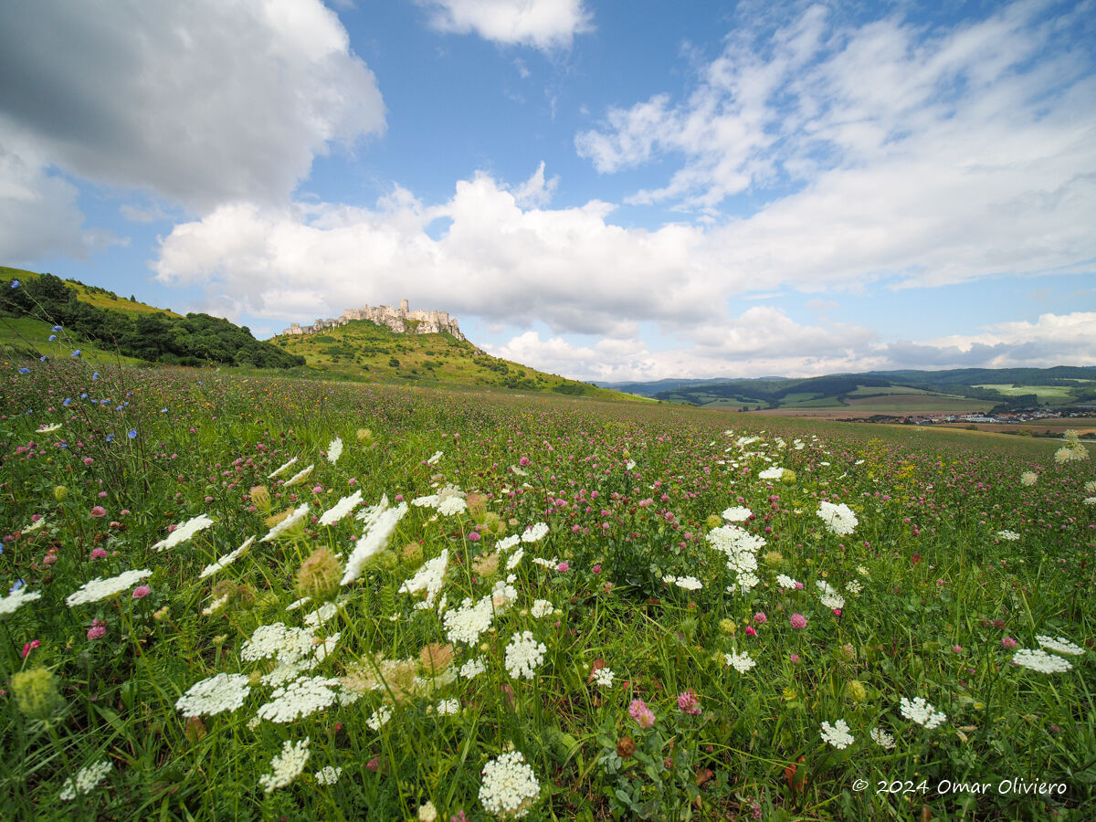 Castello di Spiš / Spišský hrad