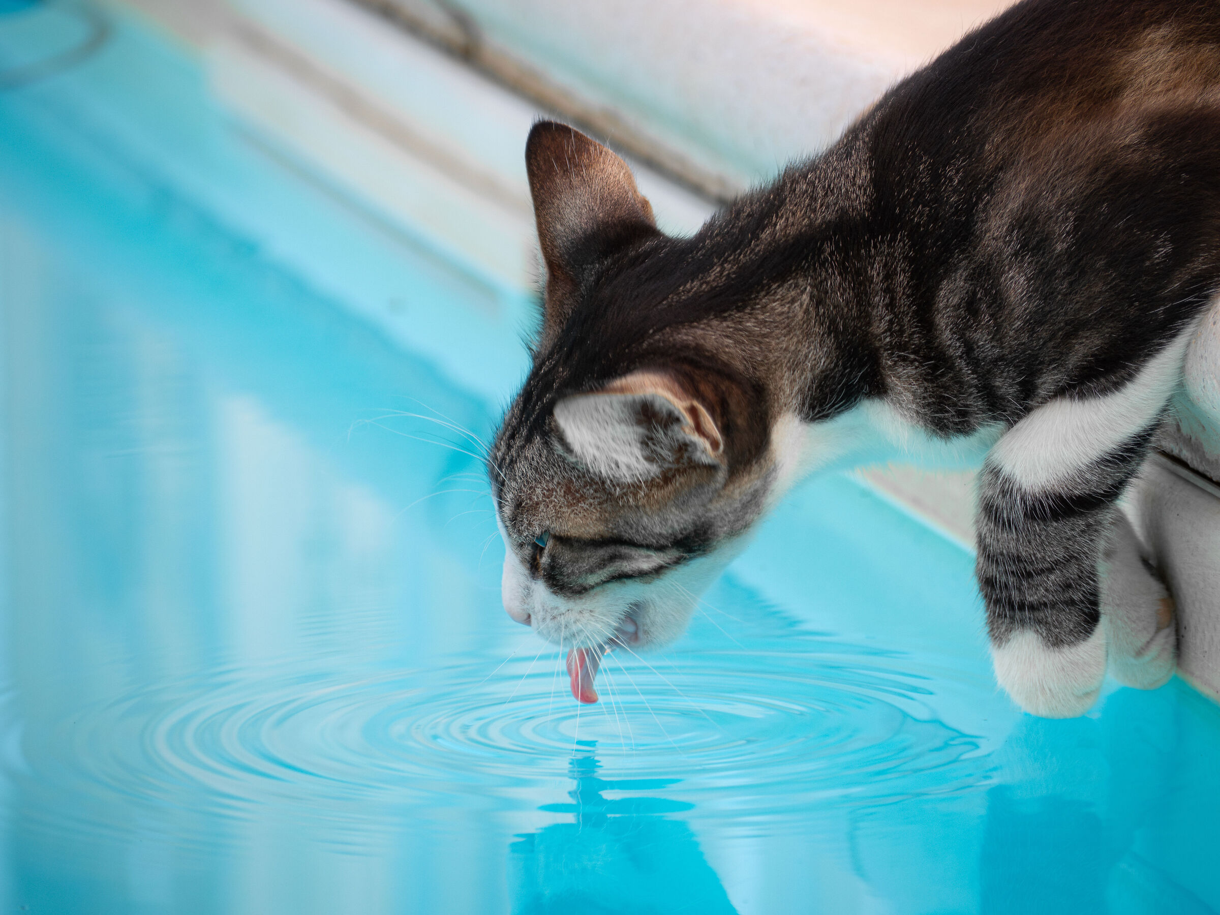 Water